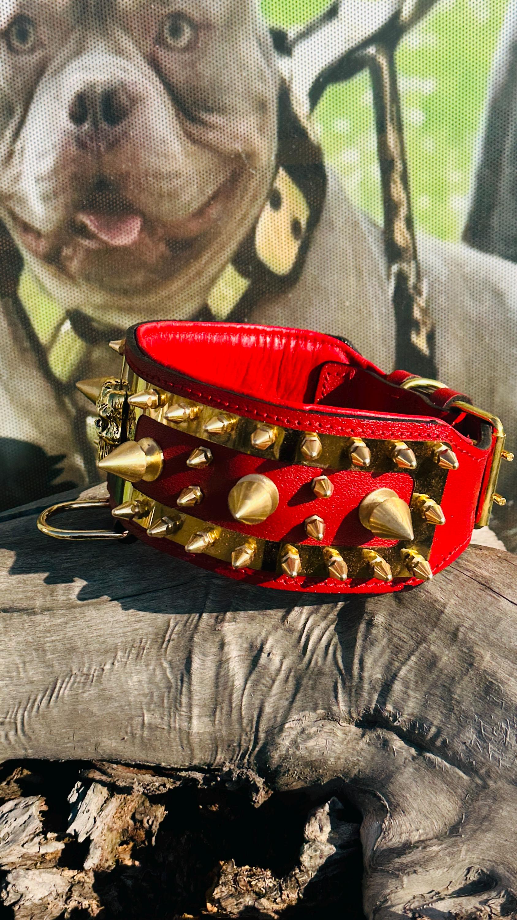 Handmade Buffalo Leather Dog Collar & Harness Set: Punisher Logo, Spiked Design