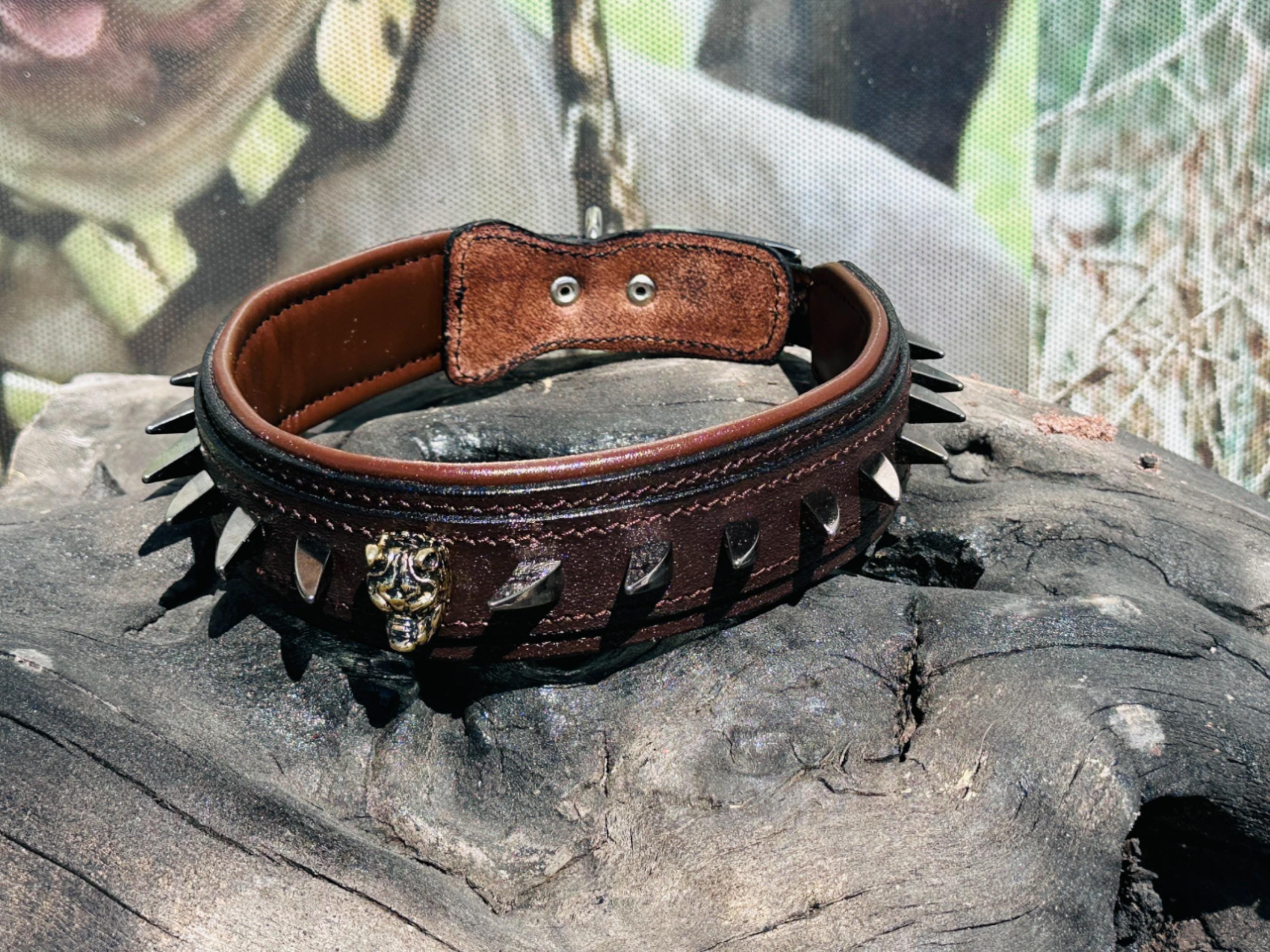 Handmade brown leather dog collar with spikes and lion head emblem from A&C Dog Collars, close-up showing detailed craftsmanship.