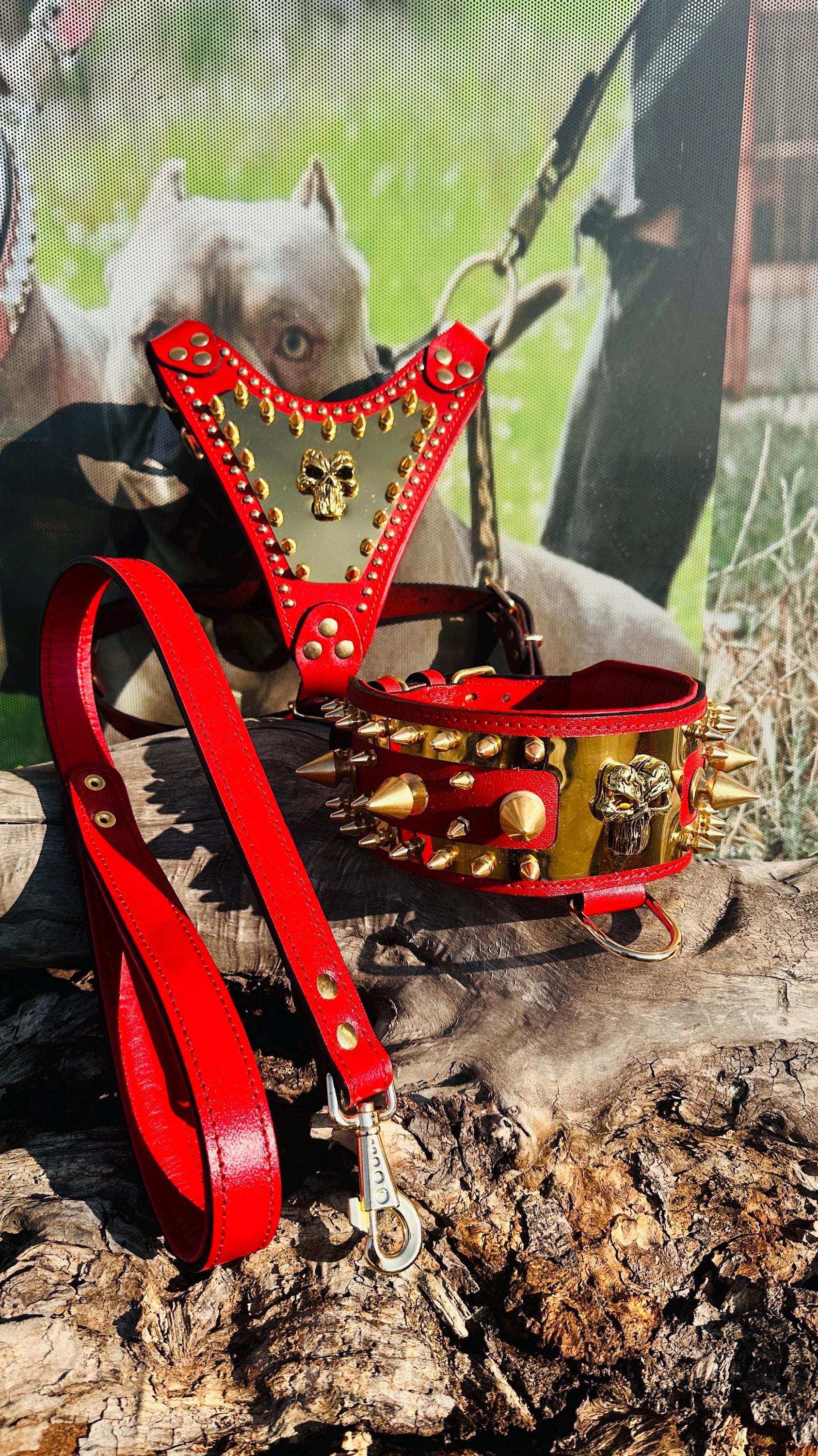 Handmade Buffalo Leather Dog Collar & Harness Set: Punisher Logo, Spiked Design