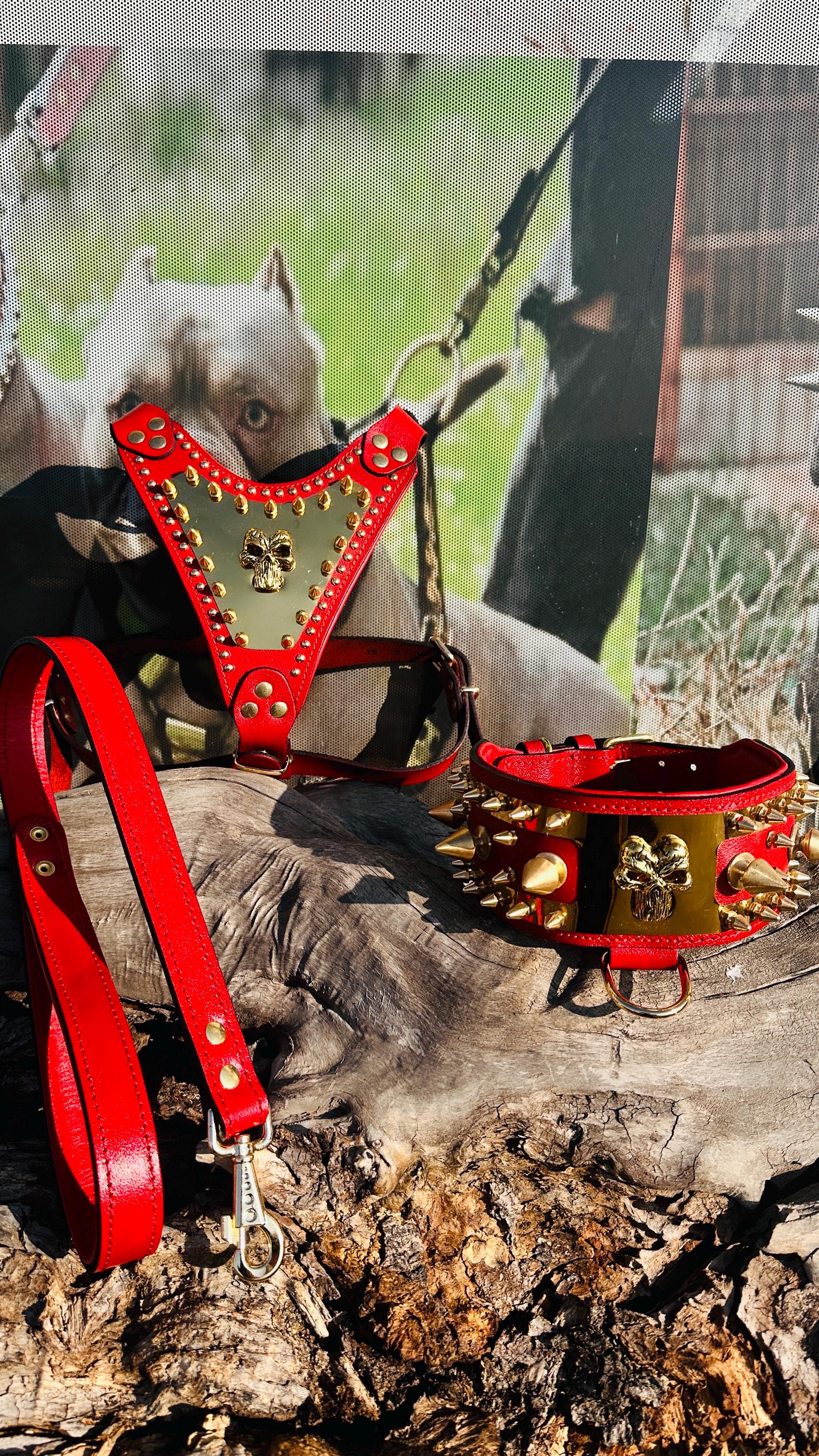 Handmade Buffalo Leather Dog Collar & Harness Set: Punisher Logo, Spiked Design