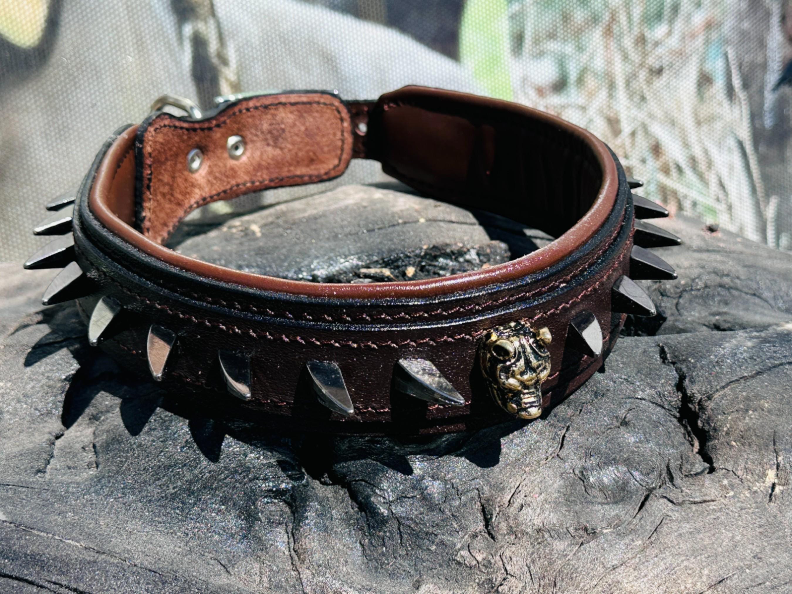 Handmade brown leather dog collar with spiked design and lion head emblem from A&C Dog Collars.