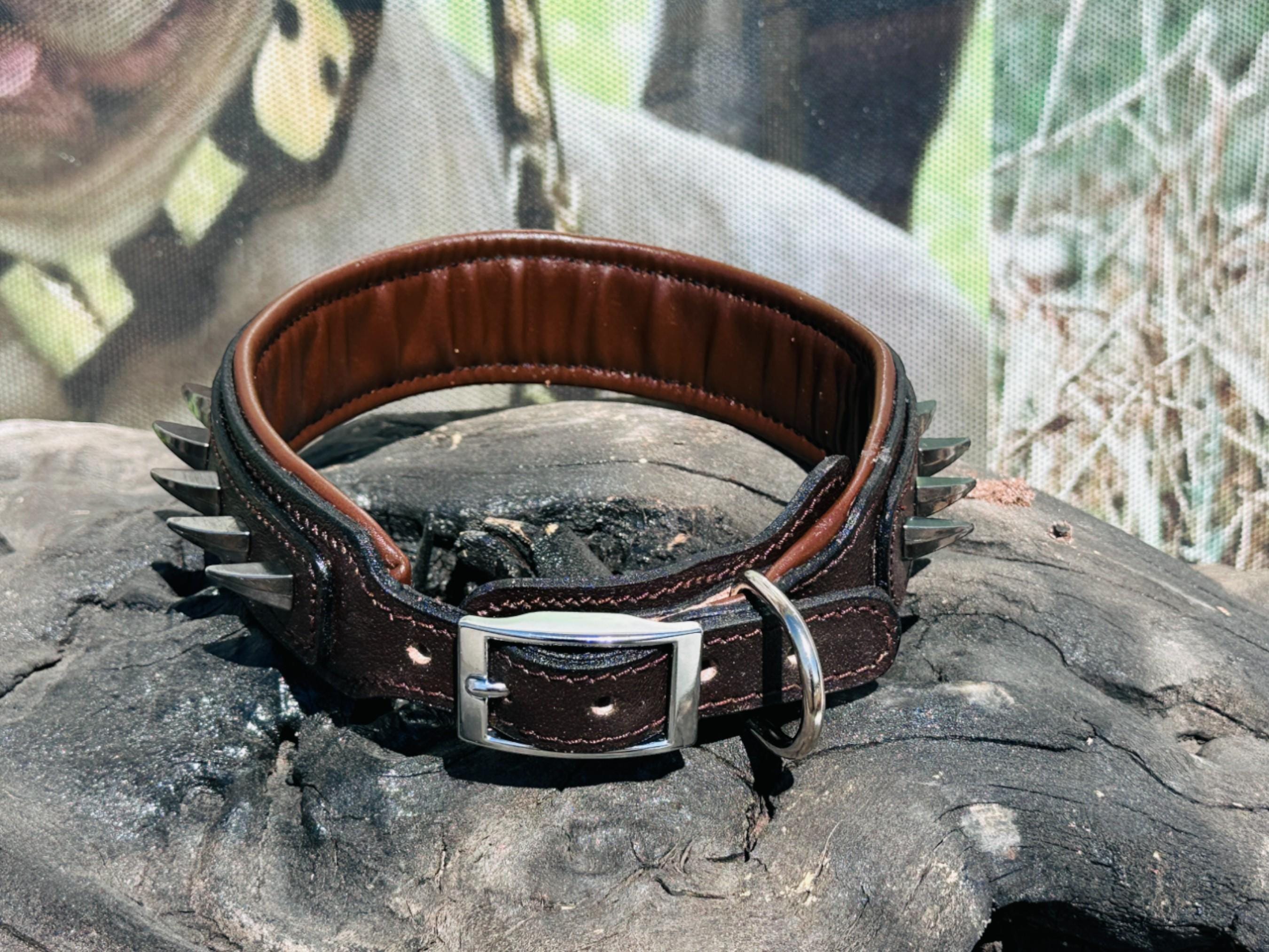 Handmade brown leather dog collar with spikes and lion head emblem from A&C Dog Collars, showcasing sturdy leather and detailed design.