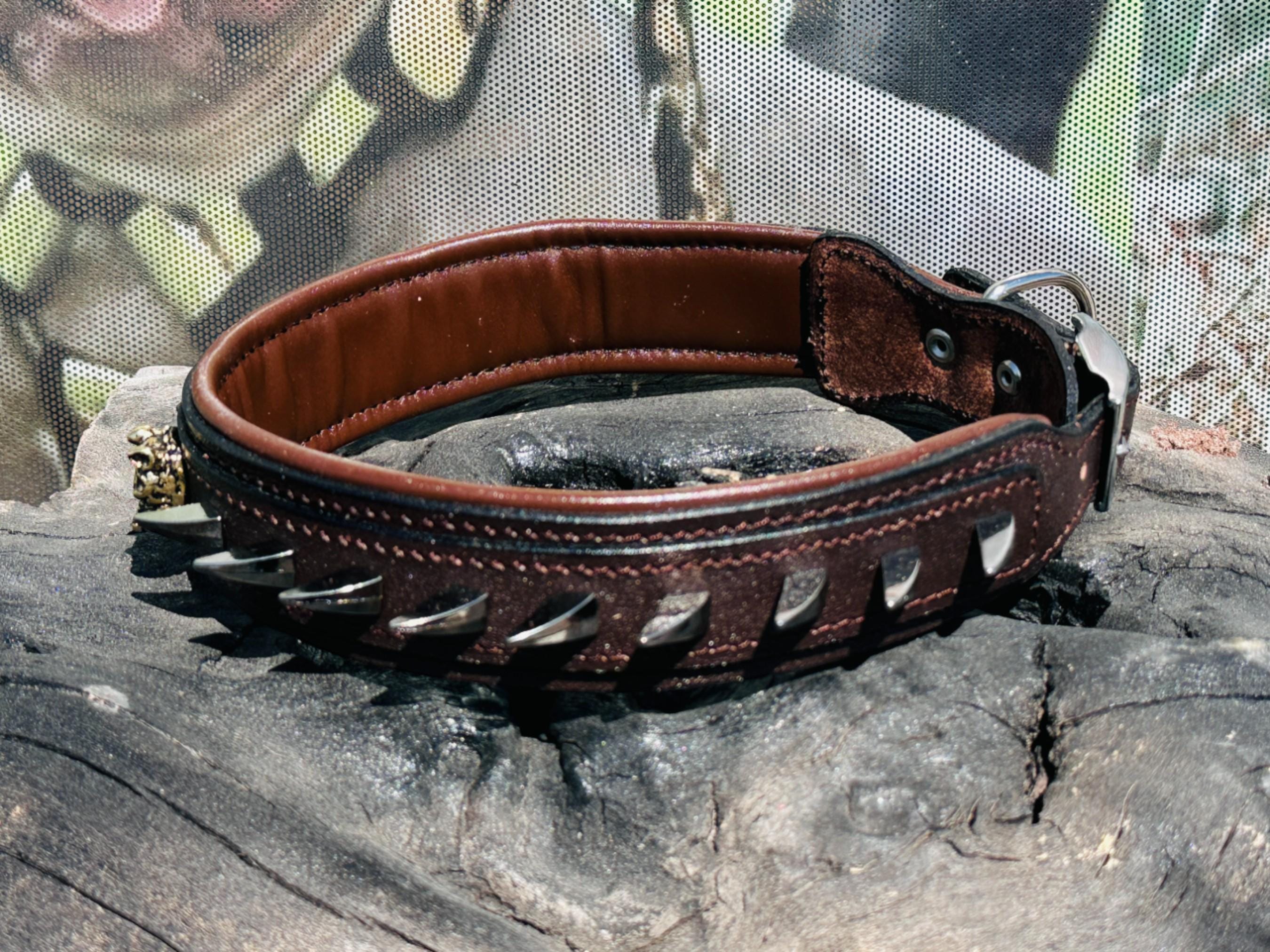 Handmade brown leather dog collar with spikes and lion head emblem from A&C Dog Collars.