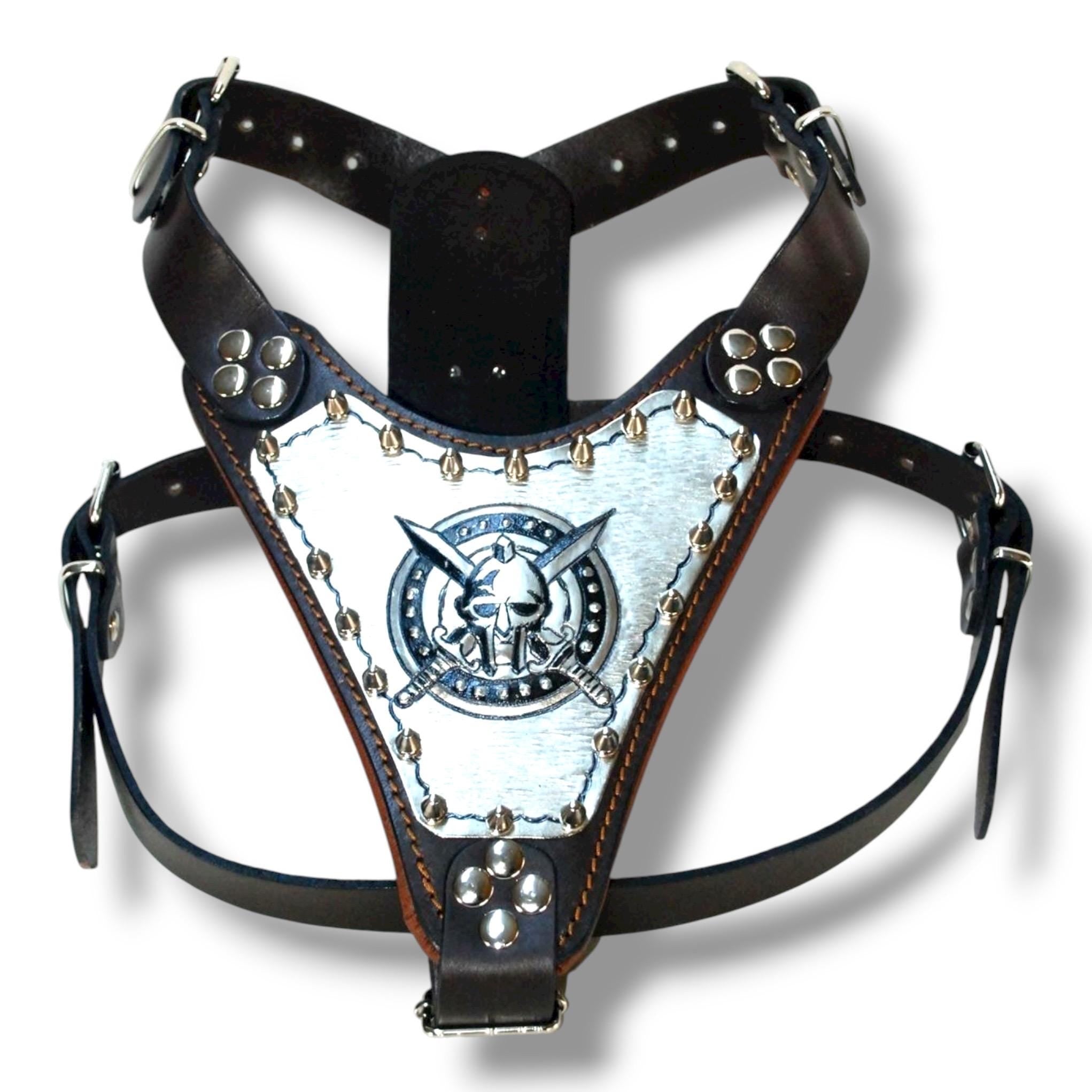 Custom Leather Dog Harness Set – Copper Plated, Personalized Name & Logo