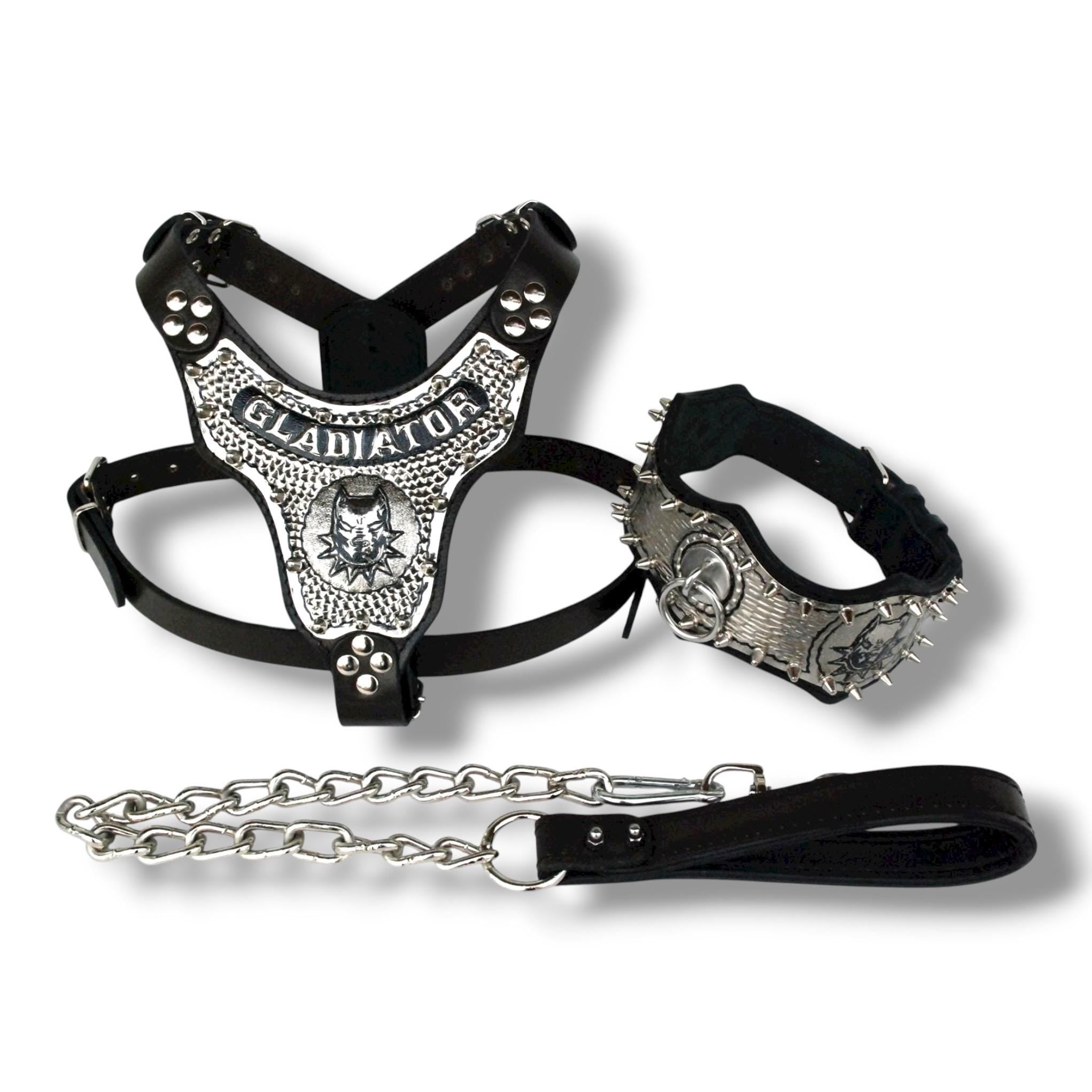 Custom Leather Dog Harness Set – Copper Plated, Personalized Name & Logo