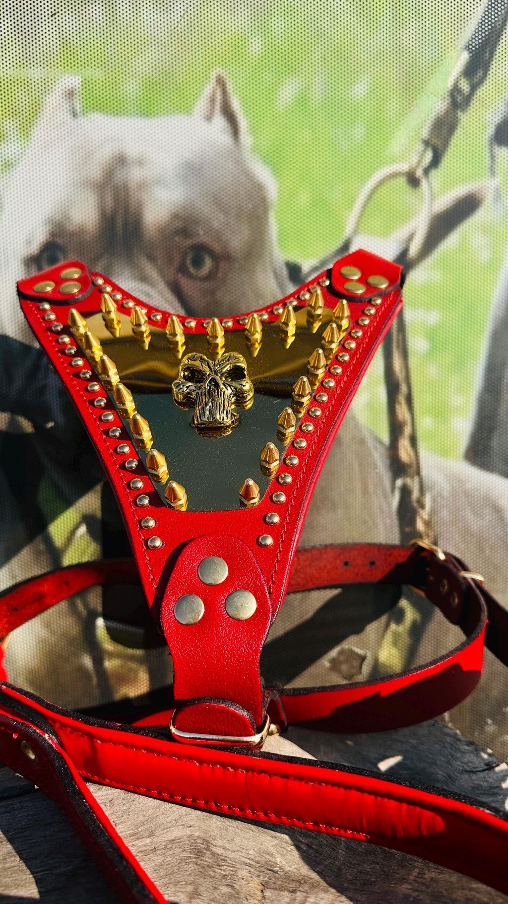 Handmade Red Leather Dog Harness – Spiked Punisher Plate, Cane Corso