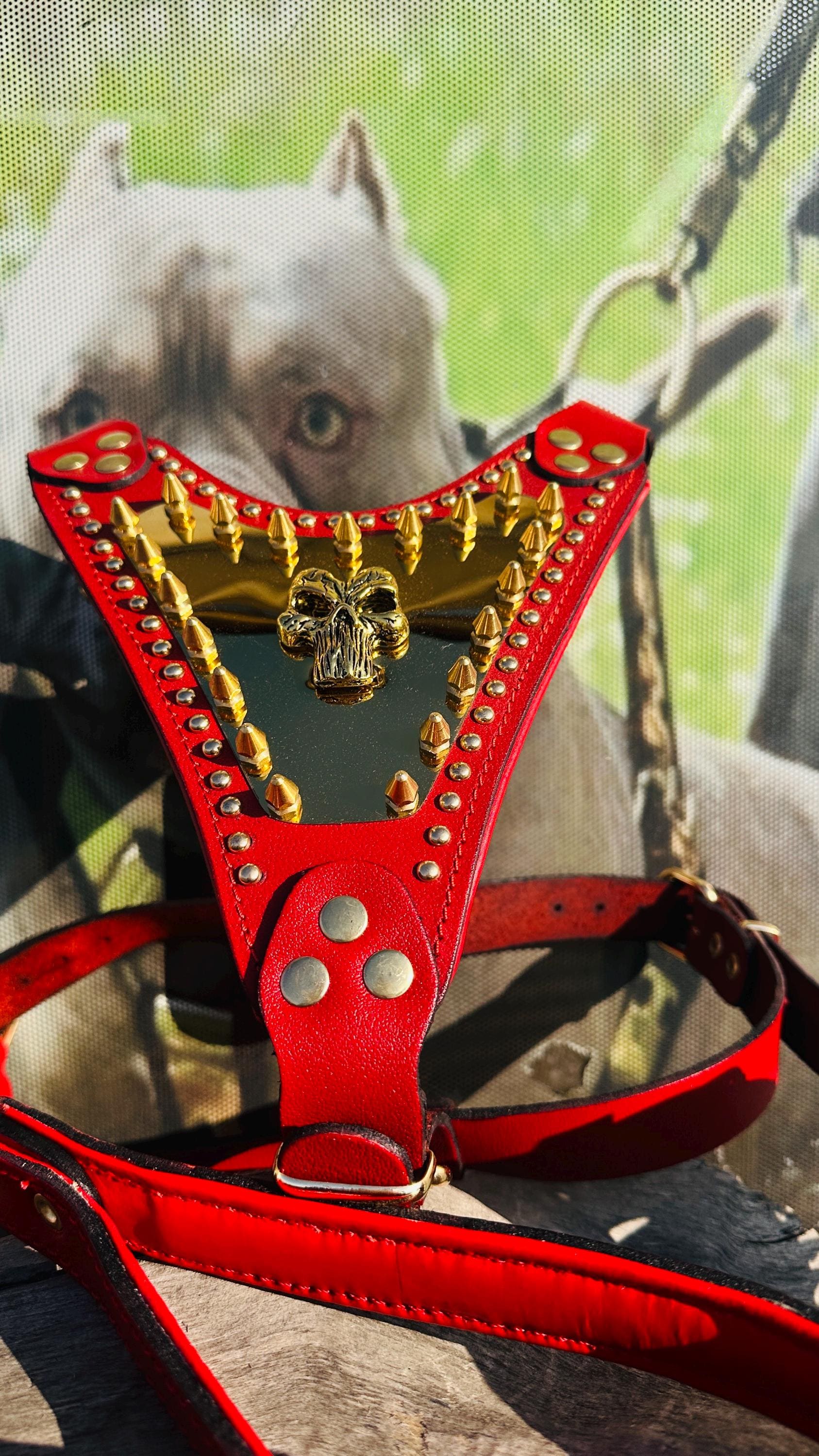 Handmade Red Leather Dog Harness – Spiked Punisher Plate, Cane Corso