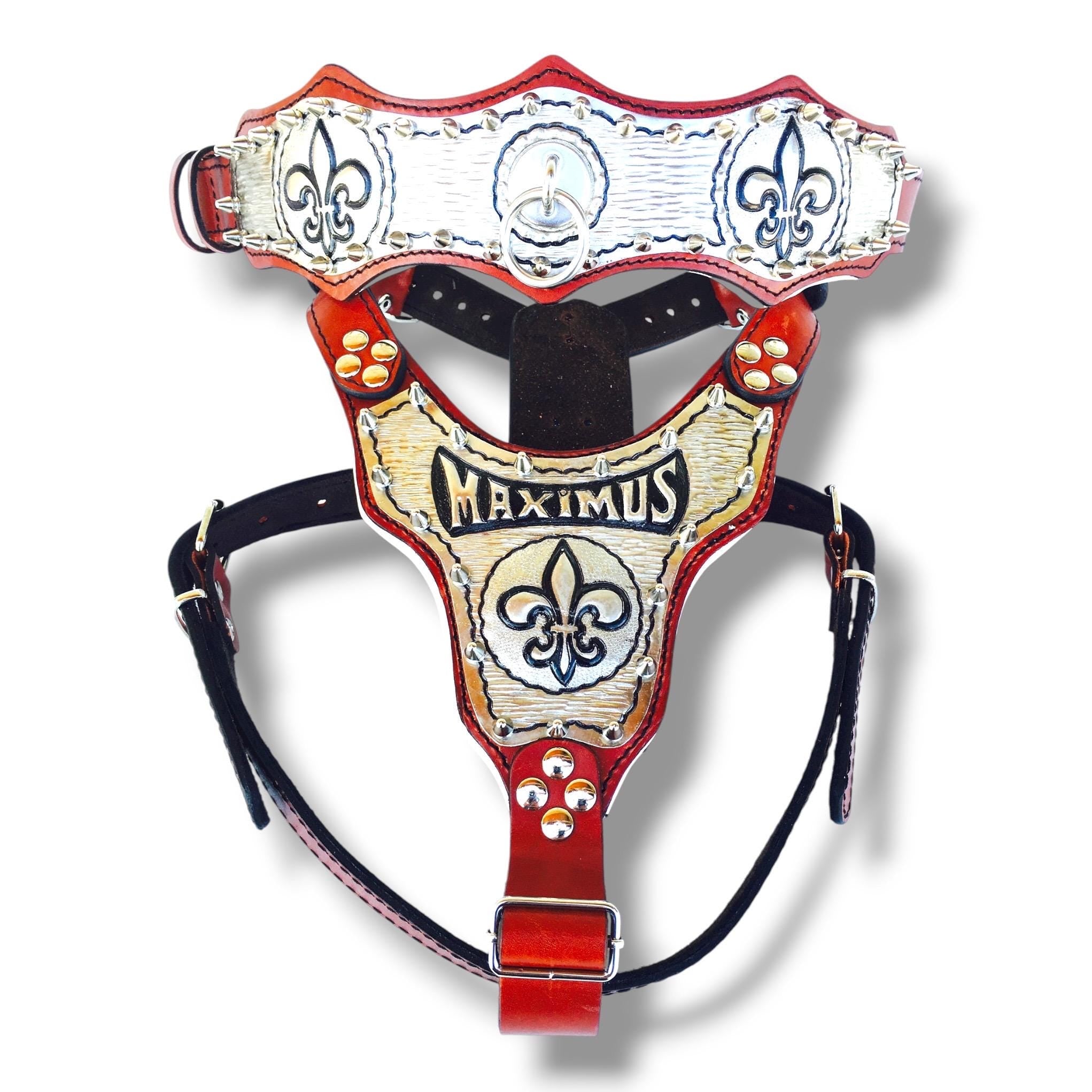 Custom Leather Dog Harness Set – Copper Plated, Personalized Name & Logo