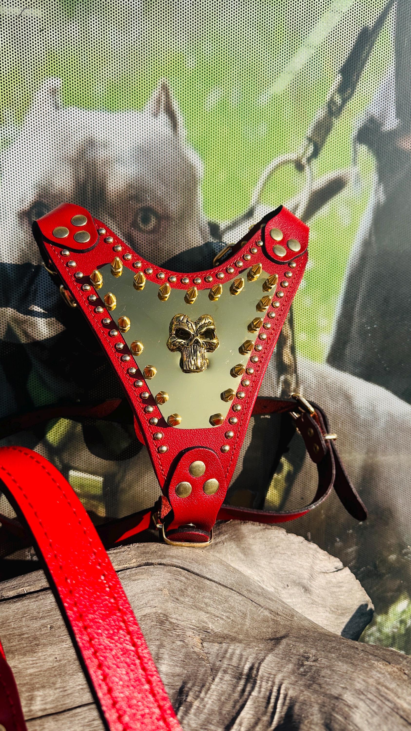 Handmade Red Leather Dog Harness – Spiked Punisher Plate, Cane Corso