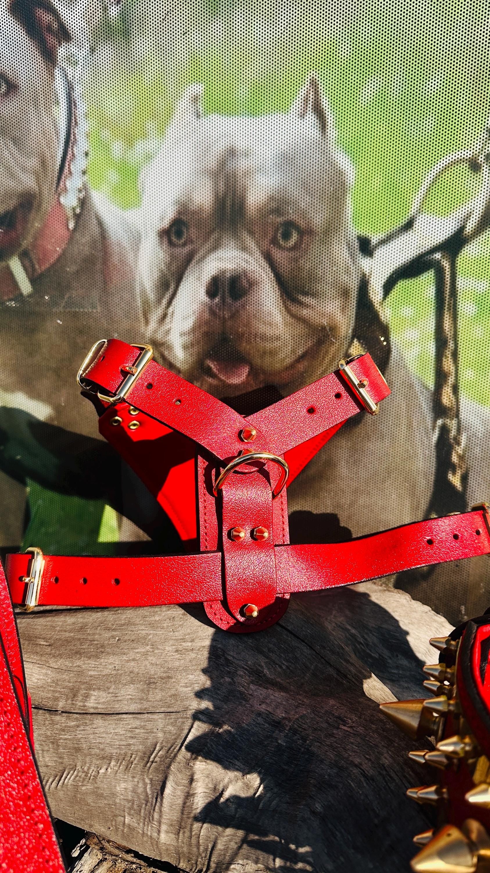 Handmade Red Leather Dog Harness – Spiked Punisher Plate, Cane Corso