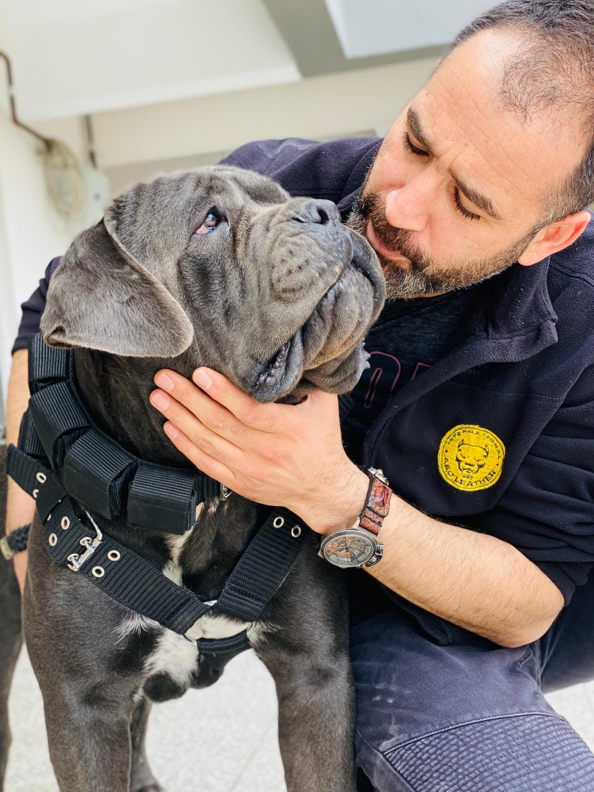 Heavy-Duty Dog Weight Training Set – Adjustable Weighted Collar & Harness for Muscle Building