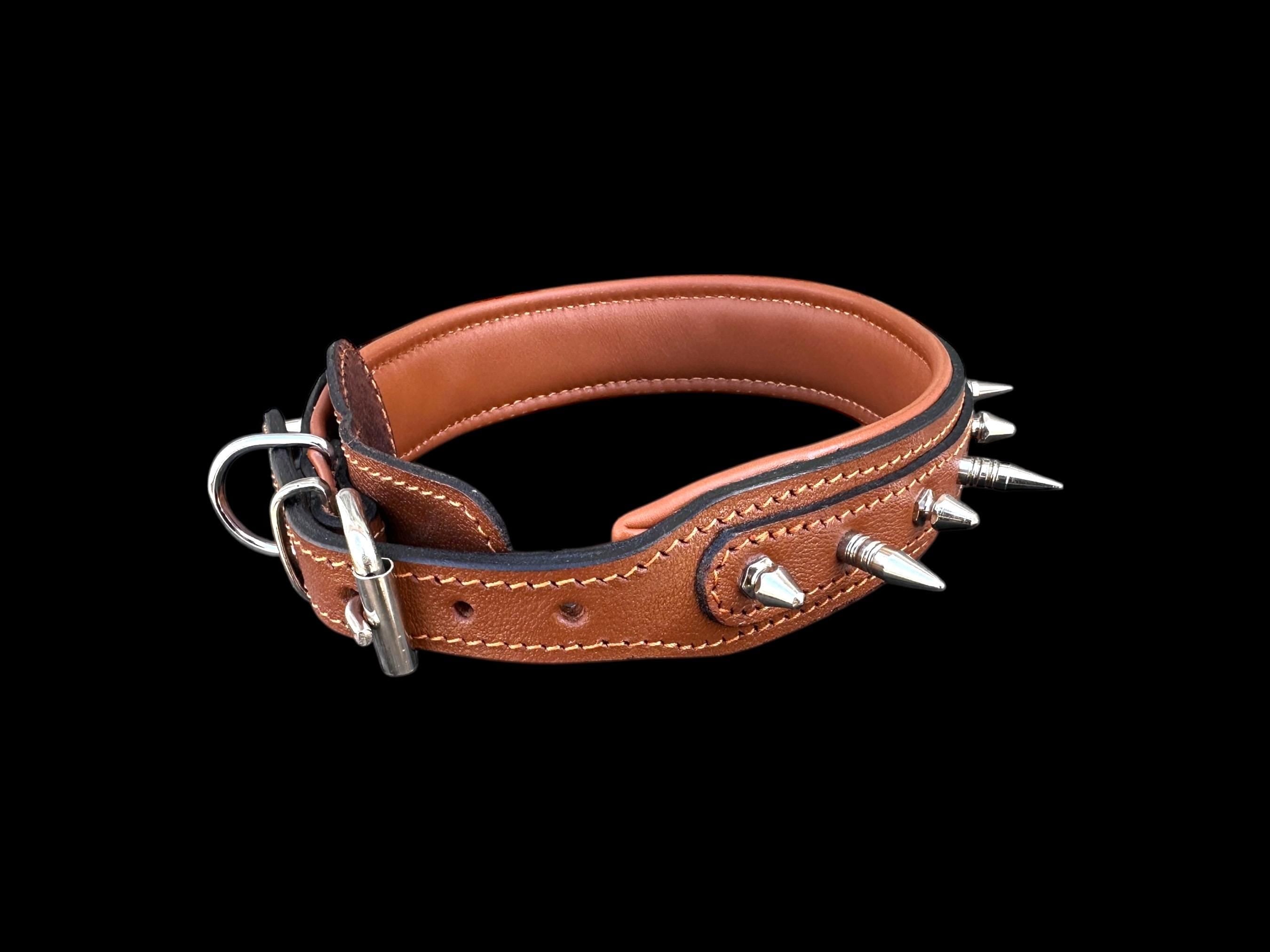 Buffalo Leather Spiked Dog Collar – 1.4” Wide
