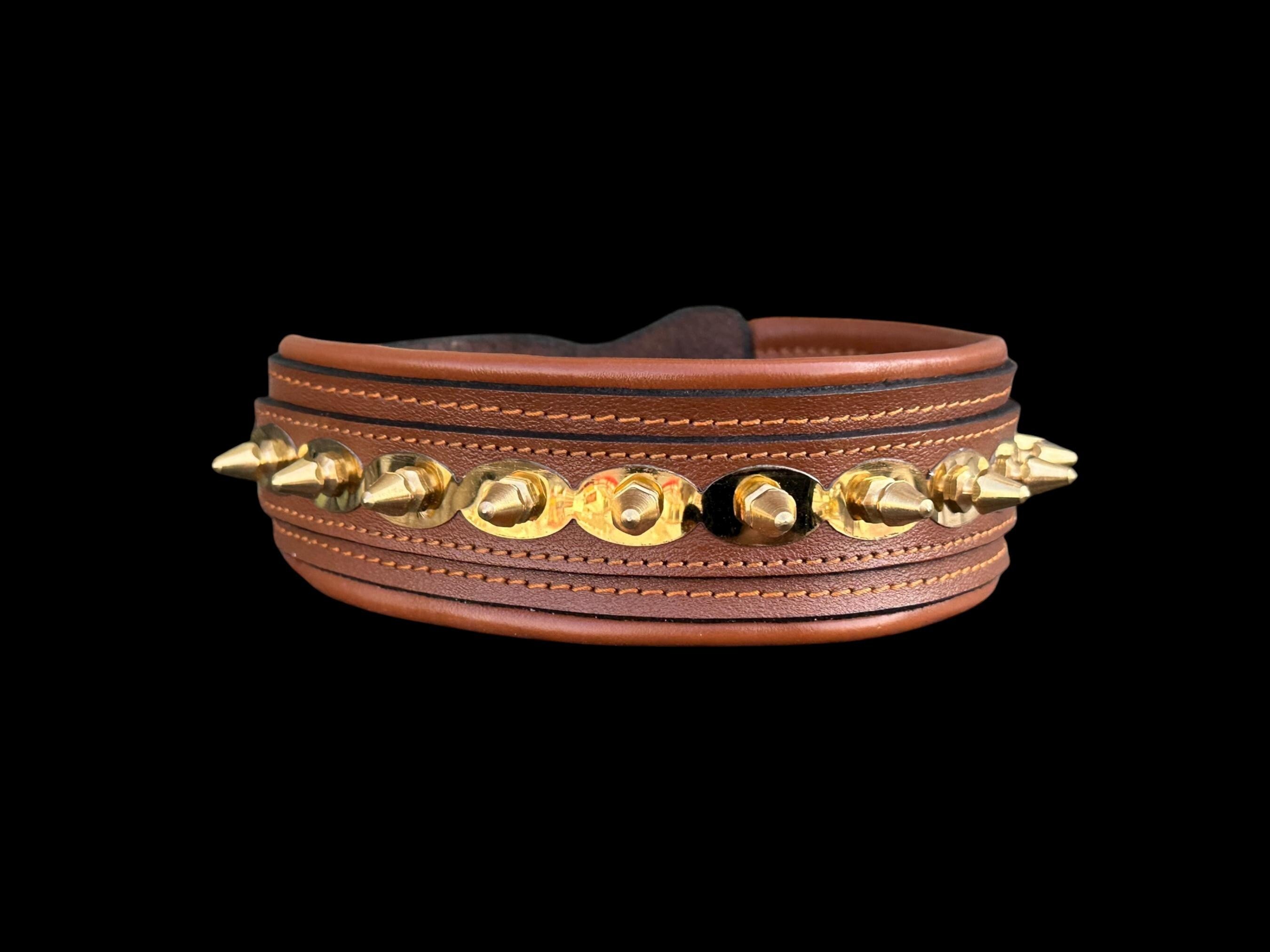 Buffalo Leather Spiked Dog Collar – Handmade Brown Gold Edition,