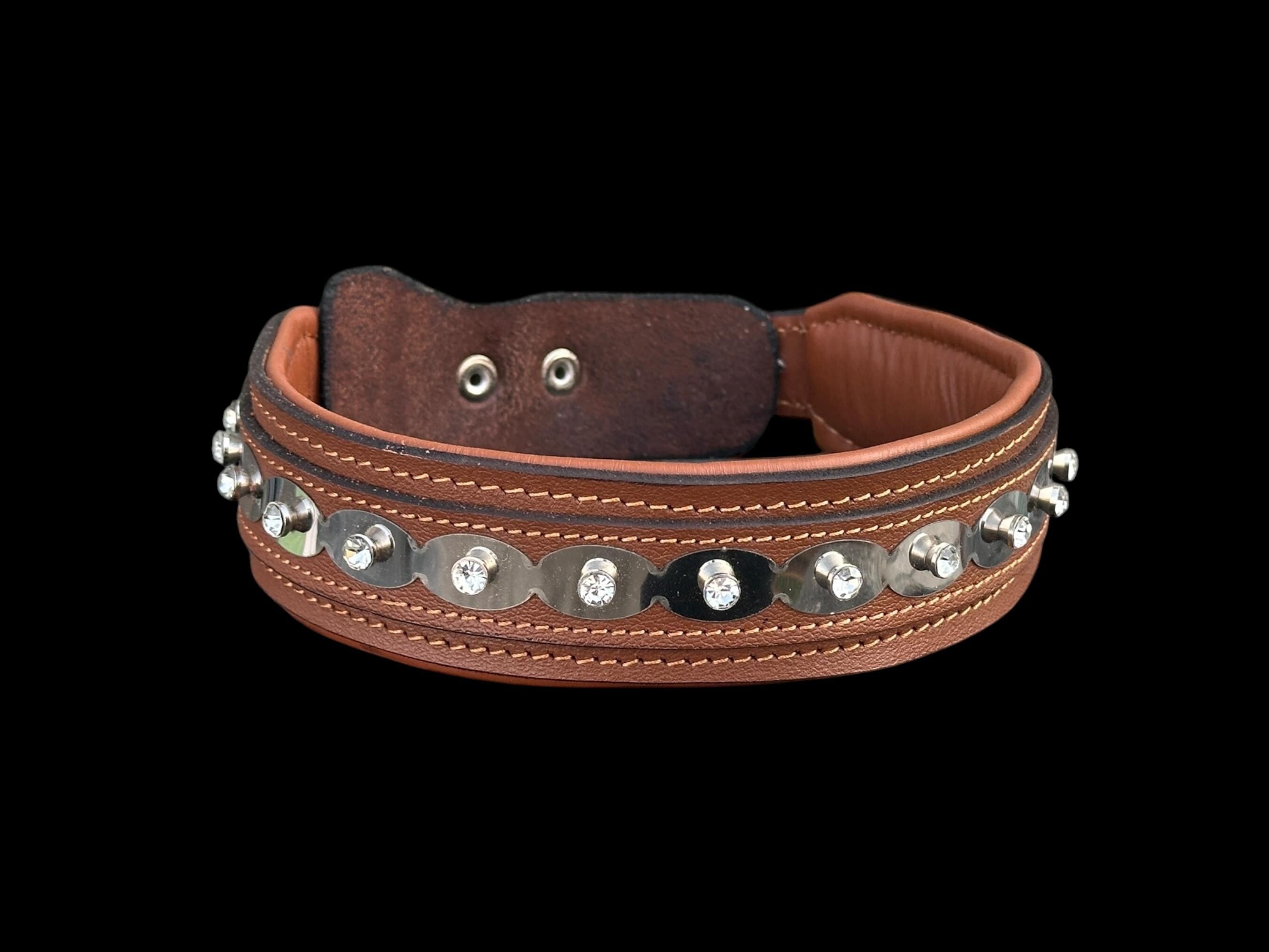 Buffalo Leather Crystal Dog Collar – Handmade Brown Silver Edition
