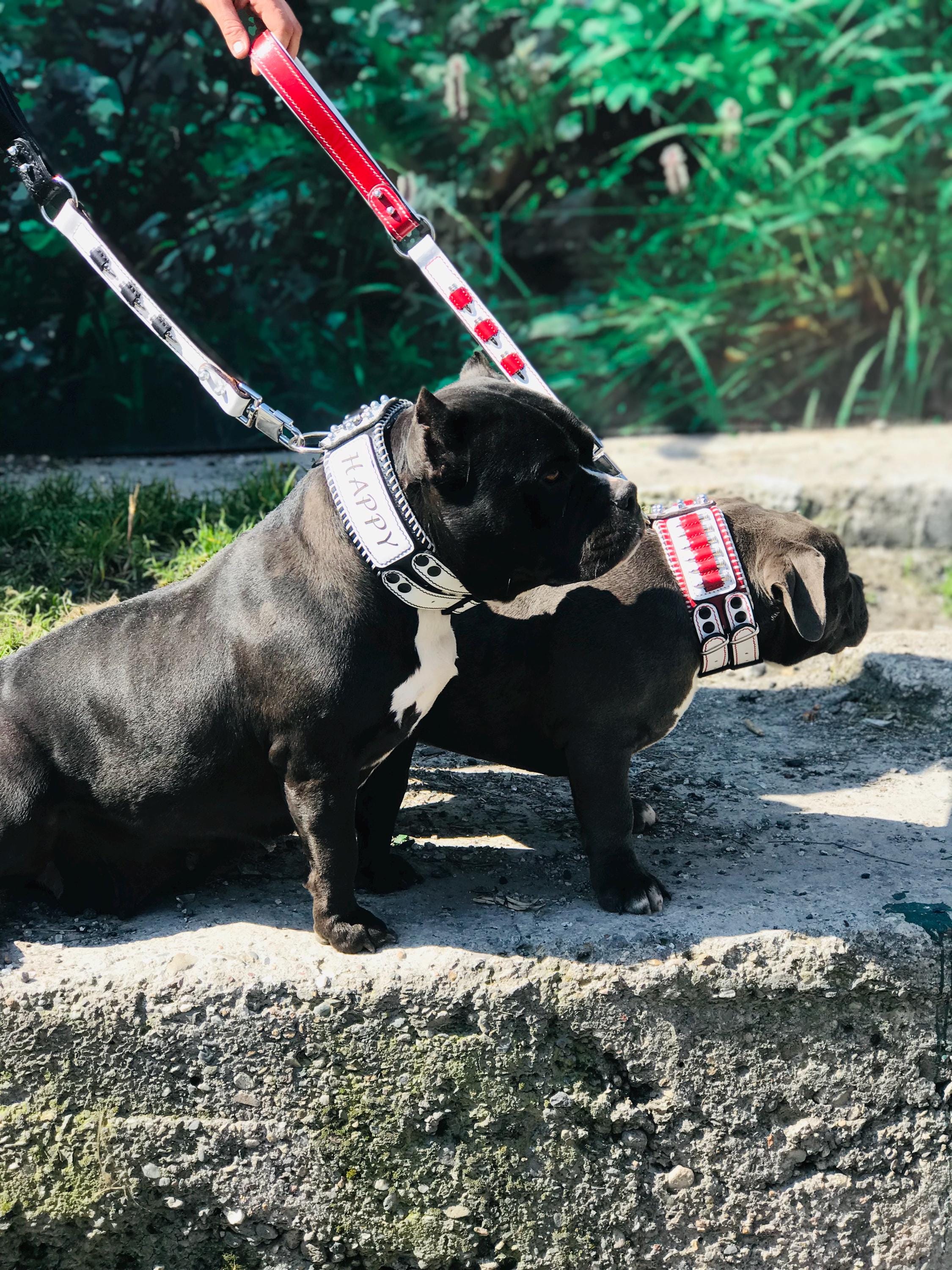 Handmade Buffalo Leather Dog Collar & Leash Set with Bullet Design – Personalized