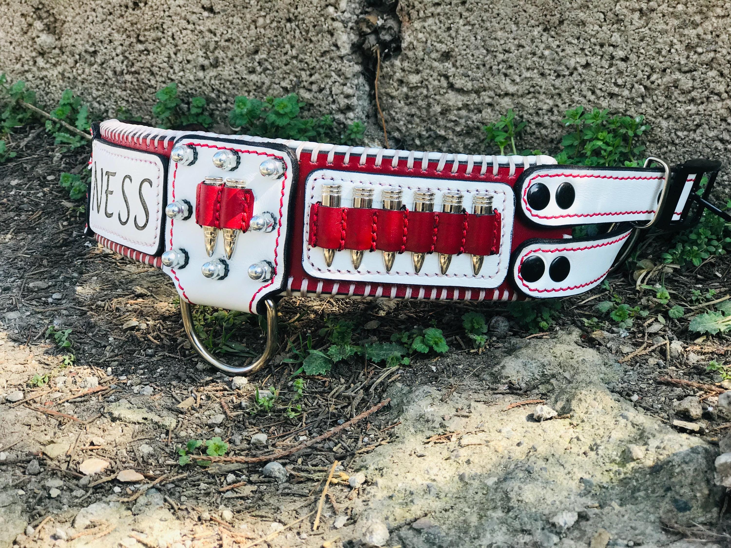 Handmade Buffalo Leather Dog Collar & Leash Set with Bullet Design – Personalized