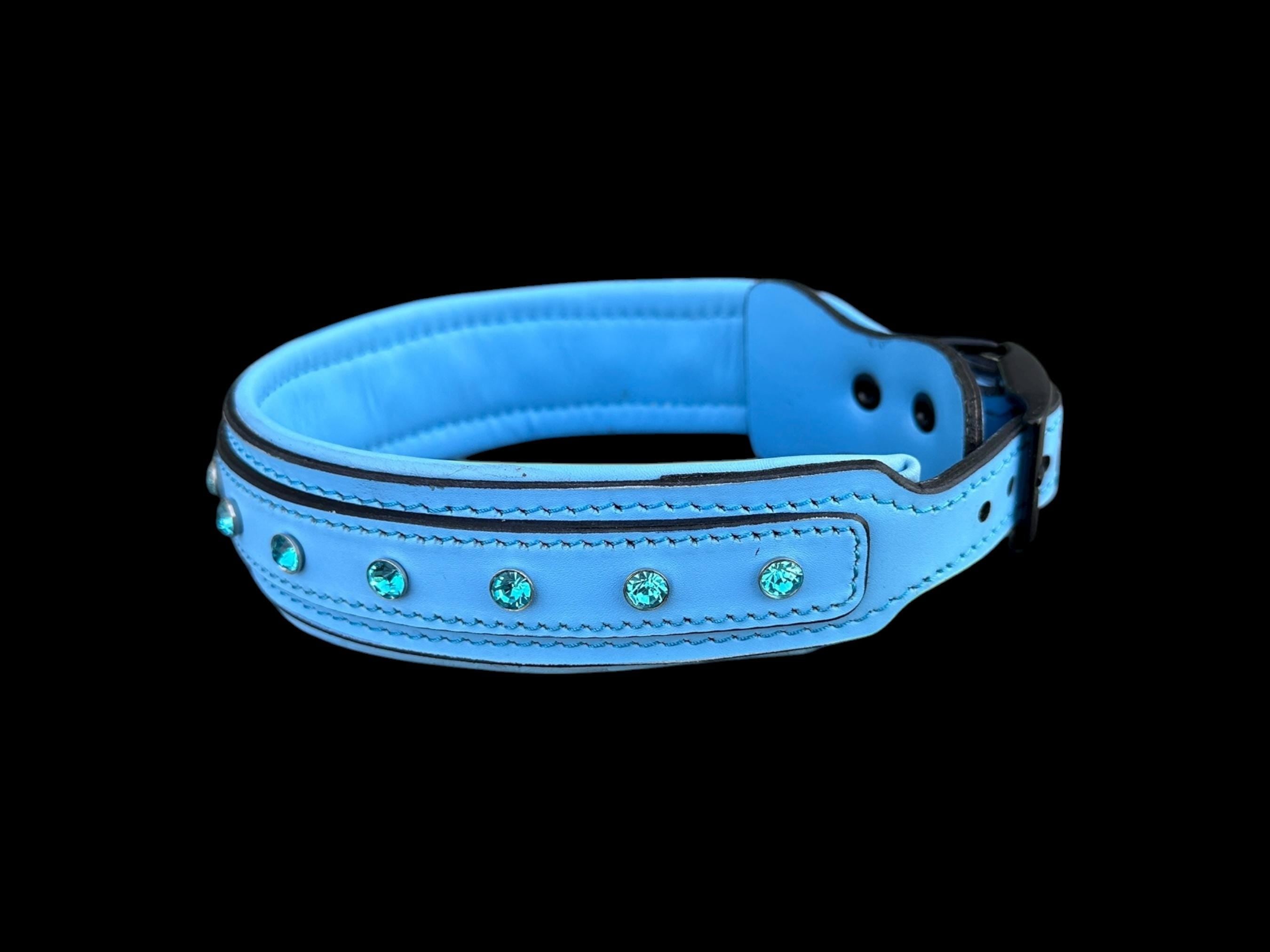 Blue Crystal Leather Dog Collar – Handmade Buffalo Leather