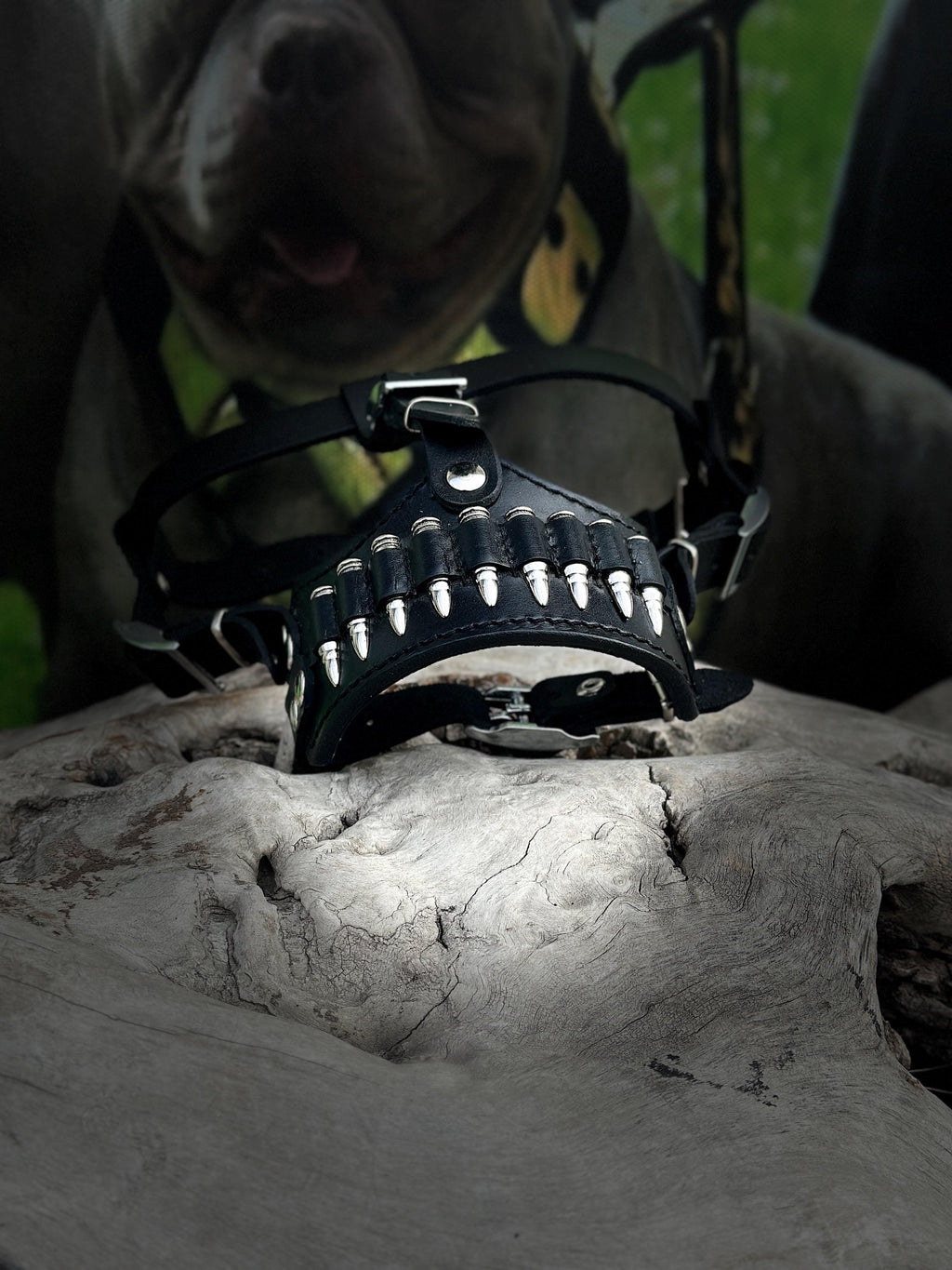 Bullet Spike 3-Piece Dog Set – Collar + Muzzle + Leash | Handmade Leather