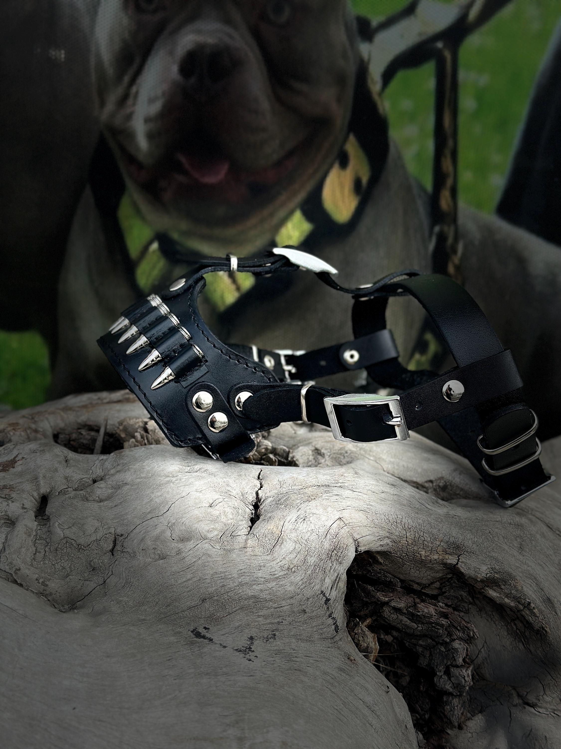 Bullet Spike 3-Piece Dog Set – Collar + Muzzle + Leash | Handmade Leather