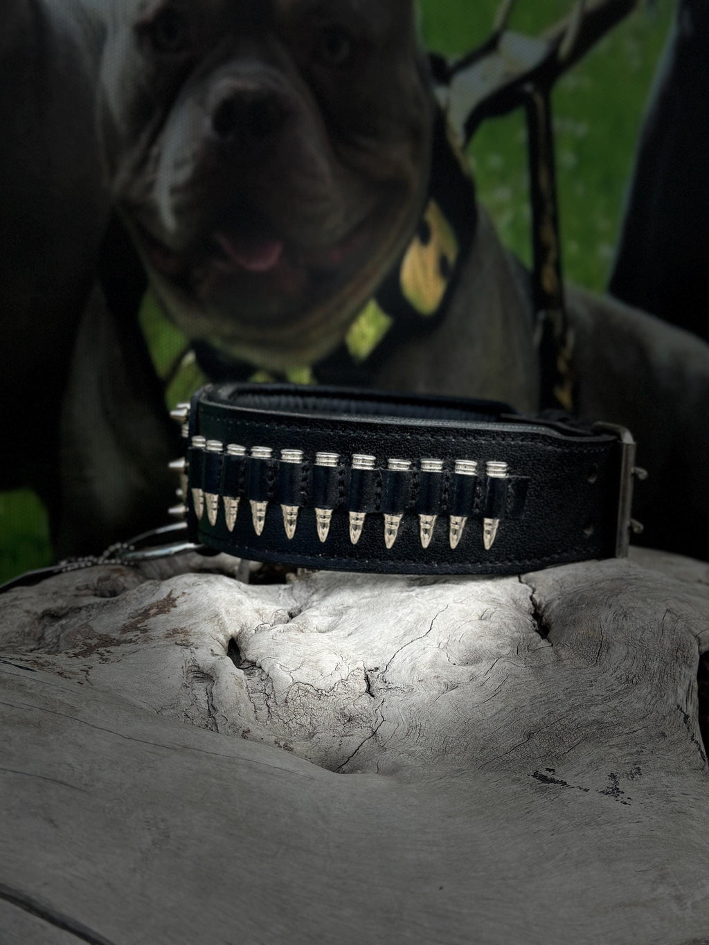 Bullet Spike 3-Piece Dog Set – Collar + Muzzle + Leash | Handmade Leather
