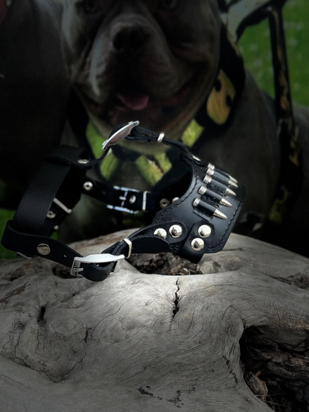 Bullet Spike 3-Piece Dog Set – Collar + Muzzle + Leash | Handmade Leather