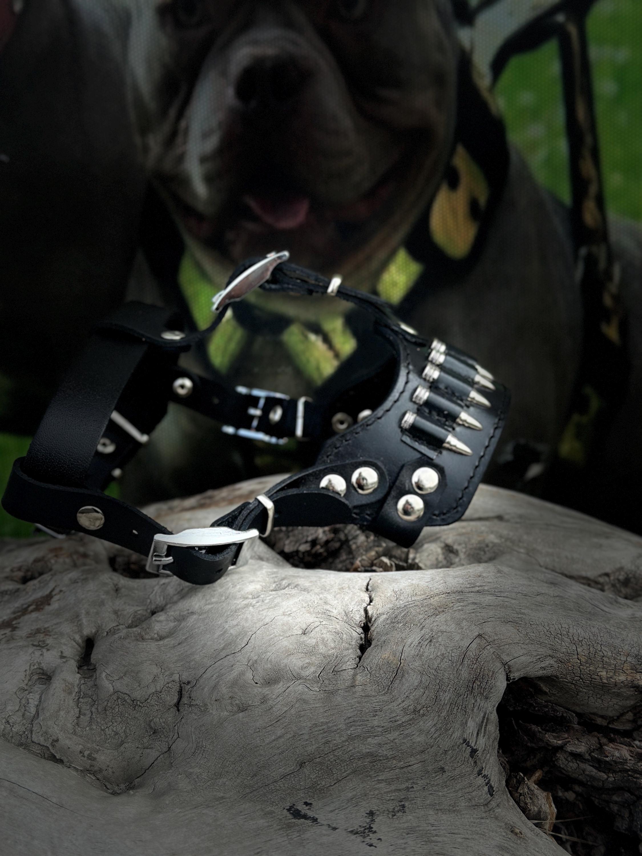 Bullet Spike 3-Piece Dog Set – Collar + Muzzle + Leash | Handmade Leather