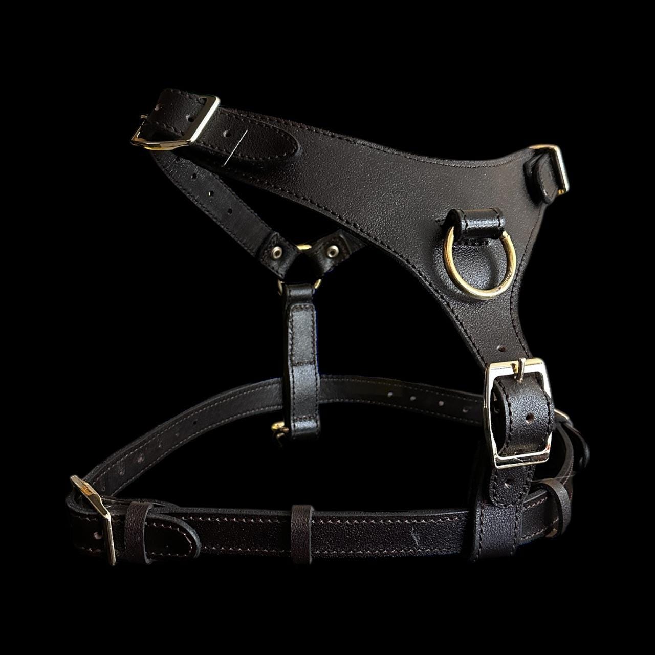 Black Buffalo Leather Dog Harness with Gold Hardware – Handmade