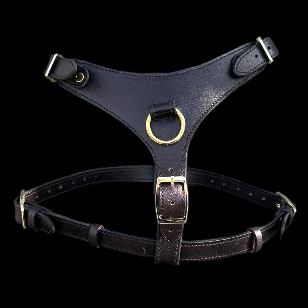 Black Buffalo Leather Dog Harness with Gold Hardware – Handmade