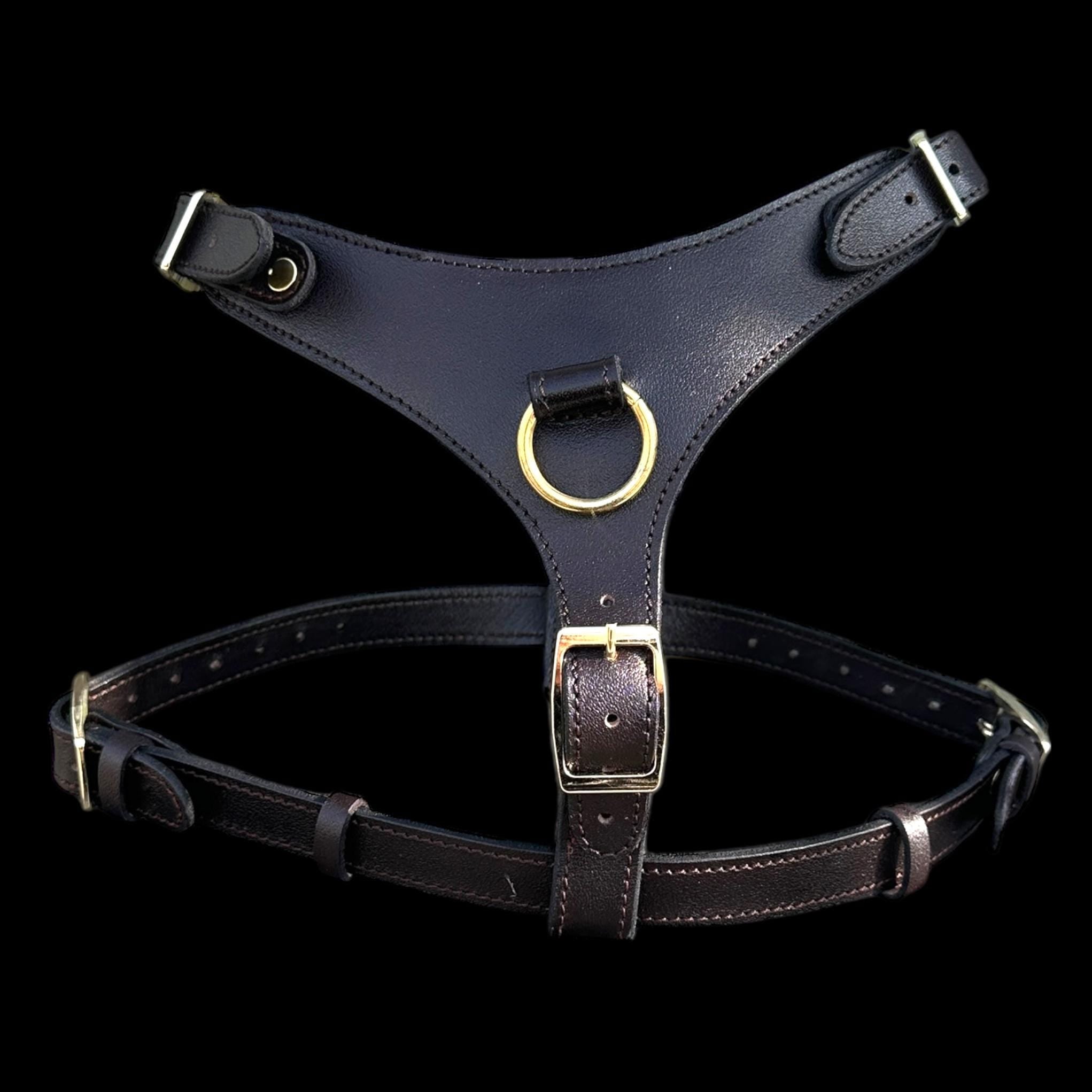 Black Buffalo Leather Dog Harness with Gold Hardware – Handmade