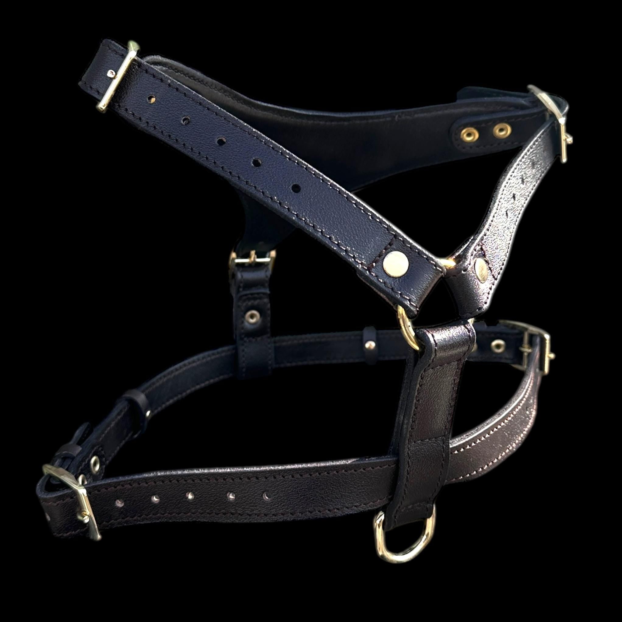 Black Buffalo Leather Dog Harness with Gold Hardware – Handmade
