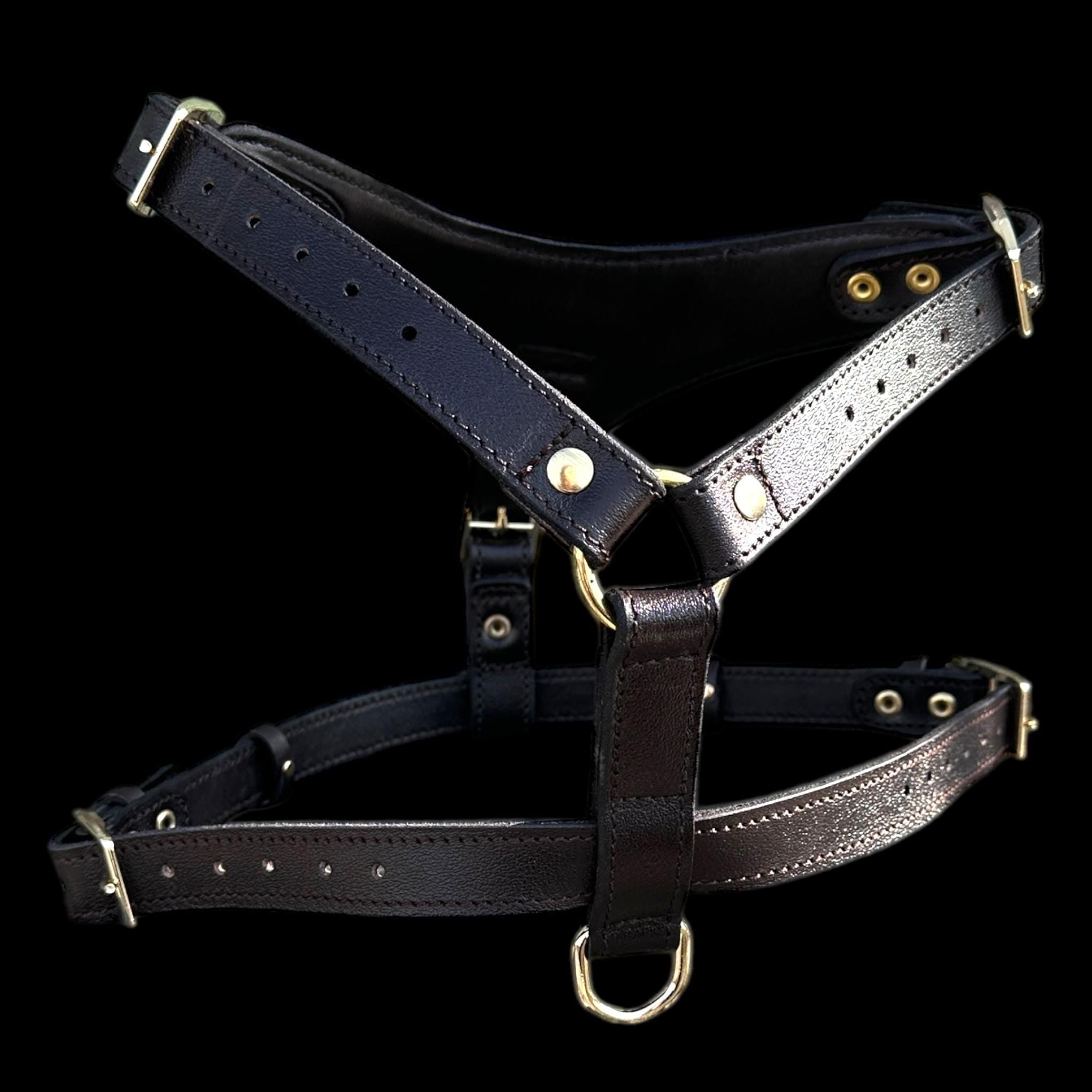Black Buffalo Leather Dog Harness with Gold Hardware – Handmade