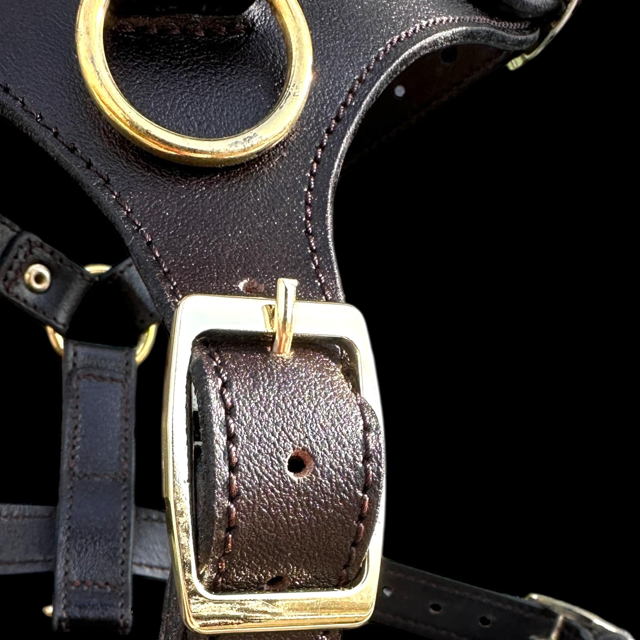 Black Buffalo Leather Dog Harness with Gold Hardware – Handmade