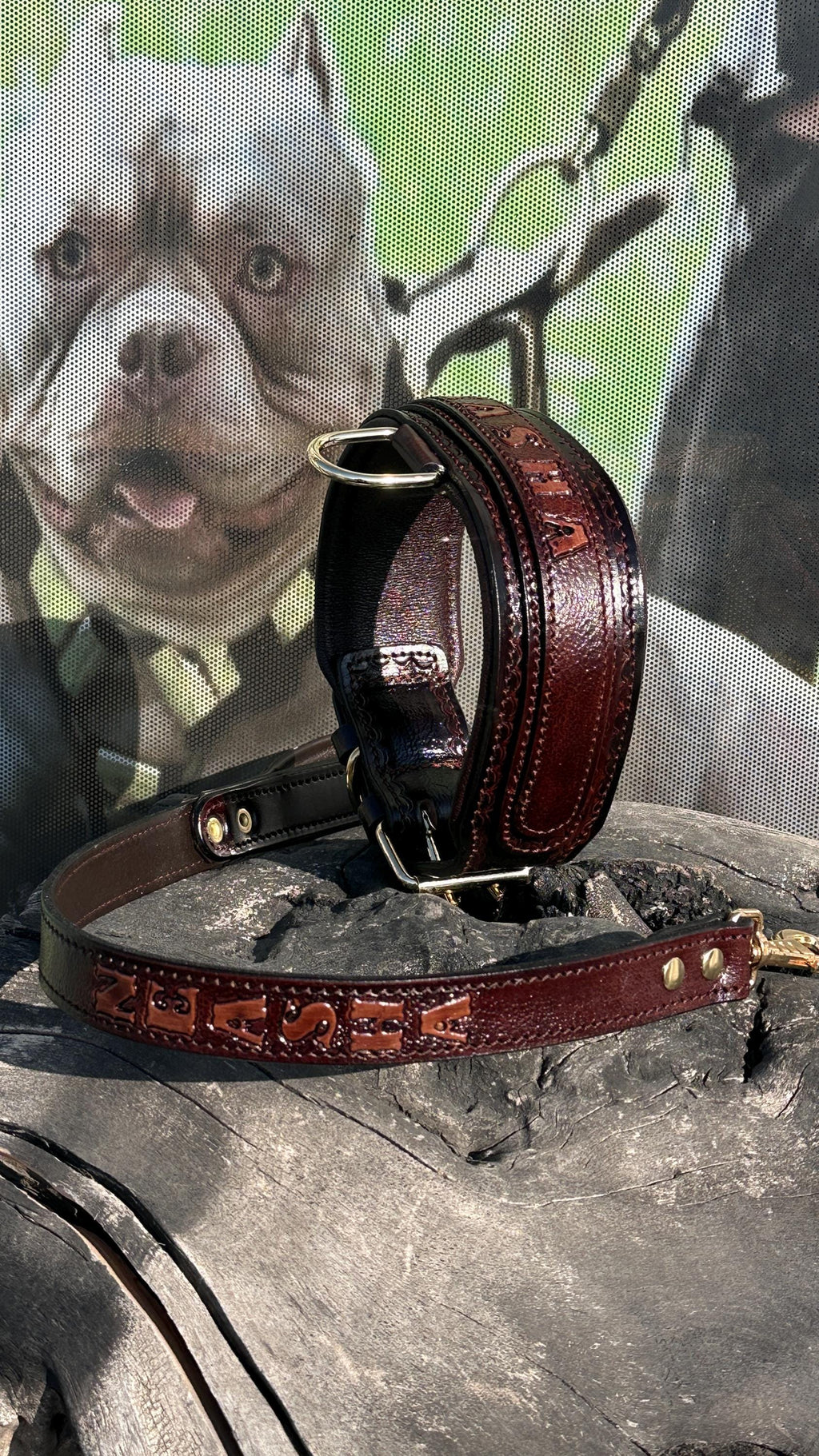 Handcrafted Leather Dog Collar & Leash Set – Custom Engraved Buffalo Leather