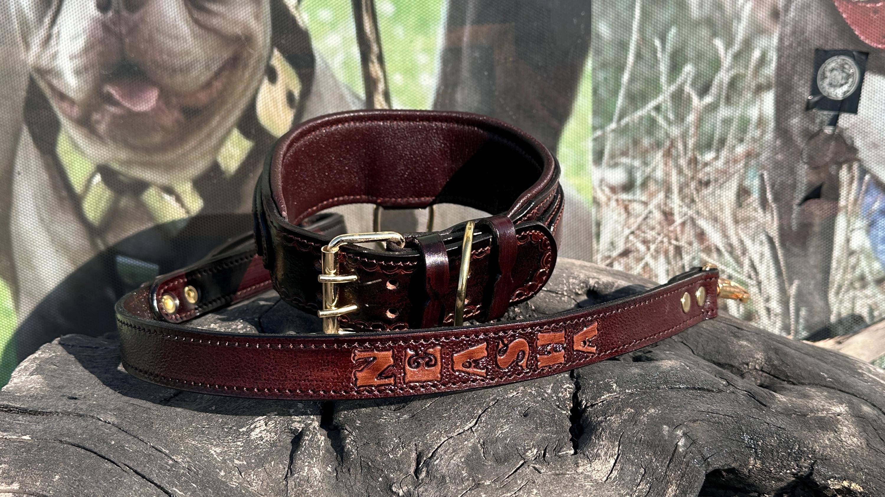 Handcrafted Leather Dog Collar & Leash Set – Custom Engraved Buffalo Leather