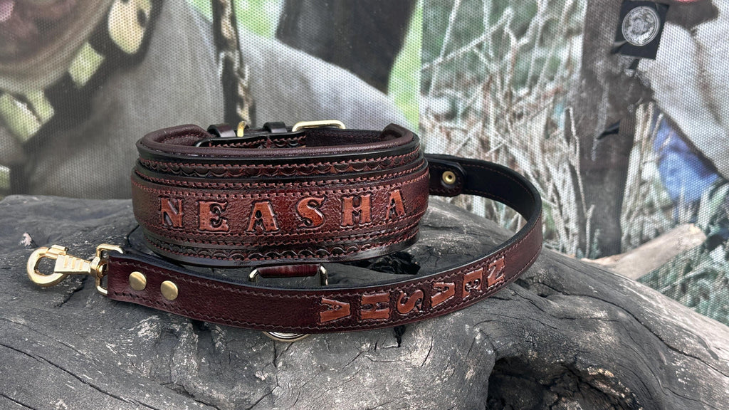 Handcrafted Leather Dog Collar & Leash Set – Custom Engraved Buffalo Leather