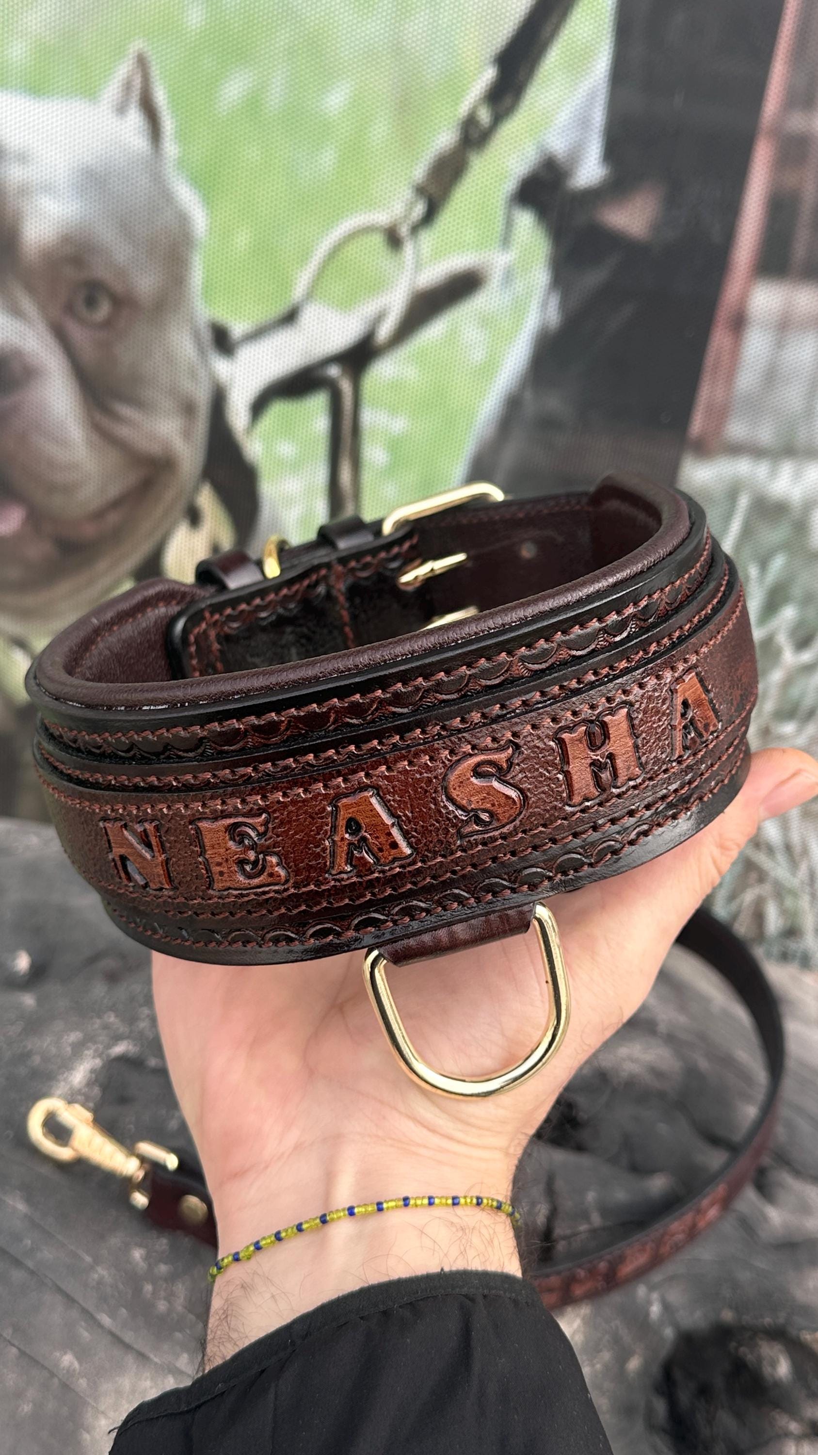 Handcrafted Leather Dog Collar & Leash Set – Custom Engraved Buffalo Leather