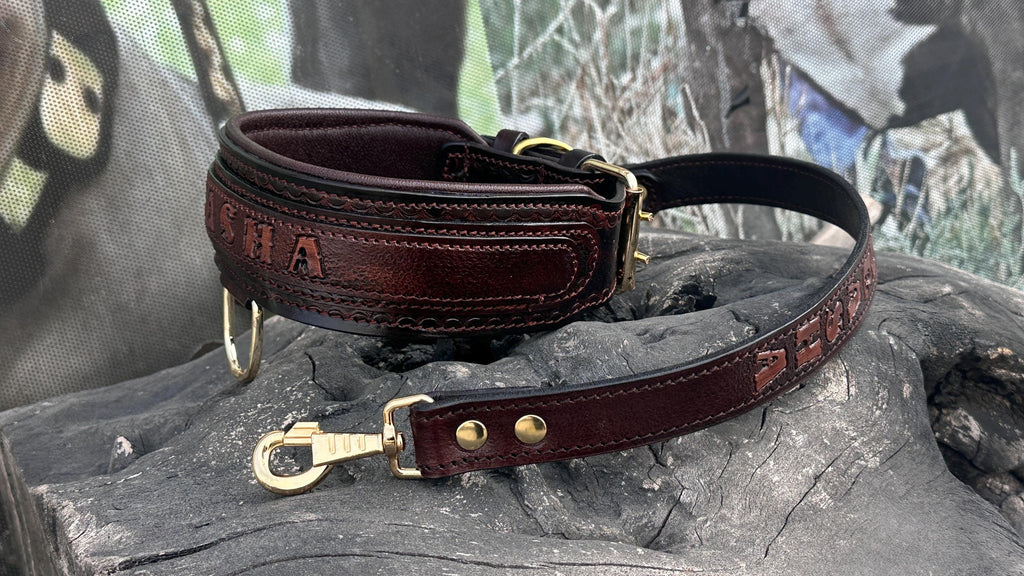 Handcrafted Leather Dog Collar & Leash Set – Custom Engraved Buffalo Leather