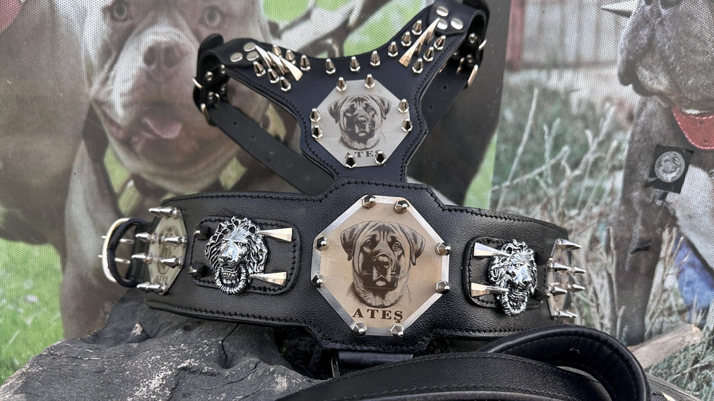 Custom Kangal Dog Collar, Harness & Leash Set – Handmade Leather Spike Set