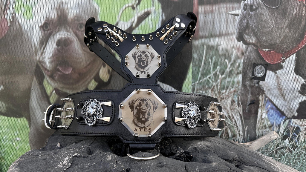 Custom Kangal Dog Collar, Harness & Leash Set – Handmade Leather Spike Set