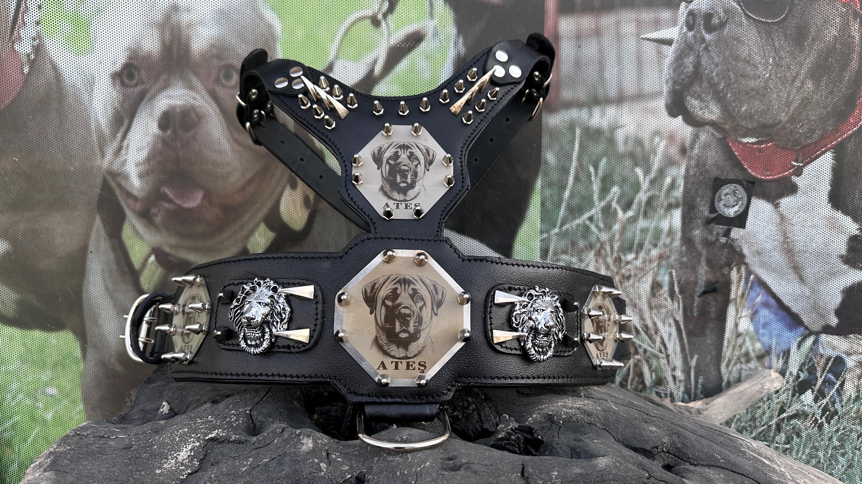 Custom Kangal Dog Collar, Harness & Leash Set – Handmade Leather Spike Set
