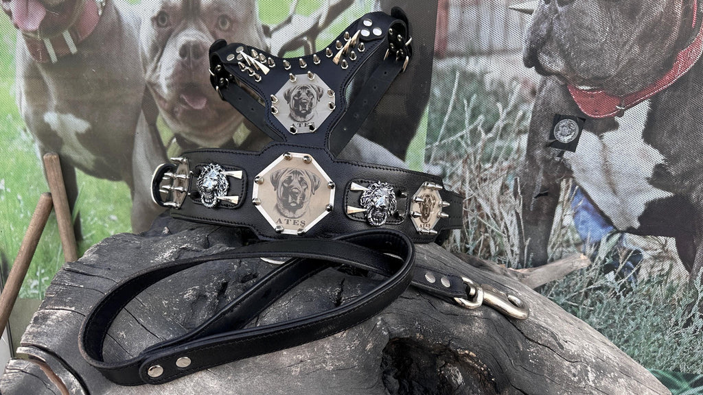 Custom Kangal Dog Collar, Harness & Leash Set – Handmade Leather Spike Set