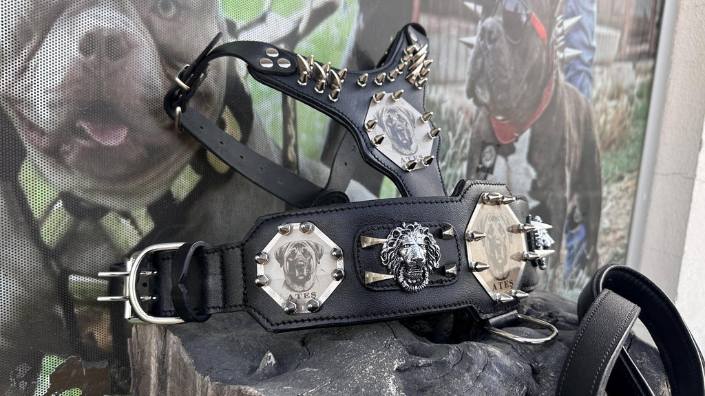 Custom Kangal Dog Collar, Harness & Leash Set – Handmade Leather Spike Set