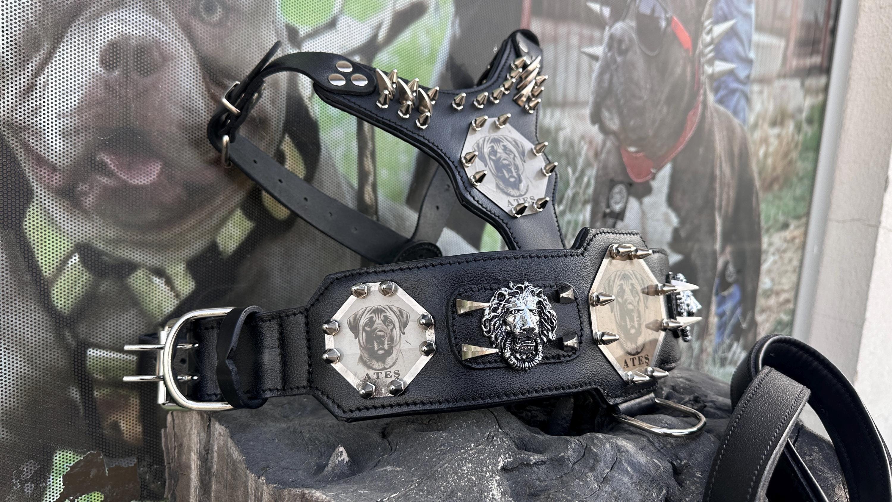 Custom Kangal Dog Collar, Harness & Leash Set – Handmade Leather Spike Set