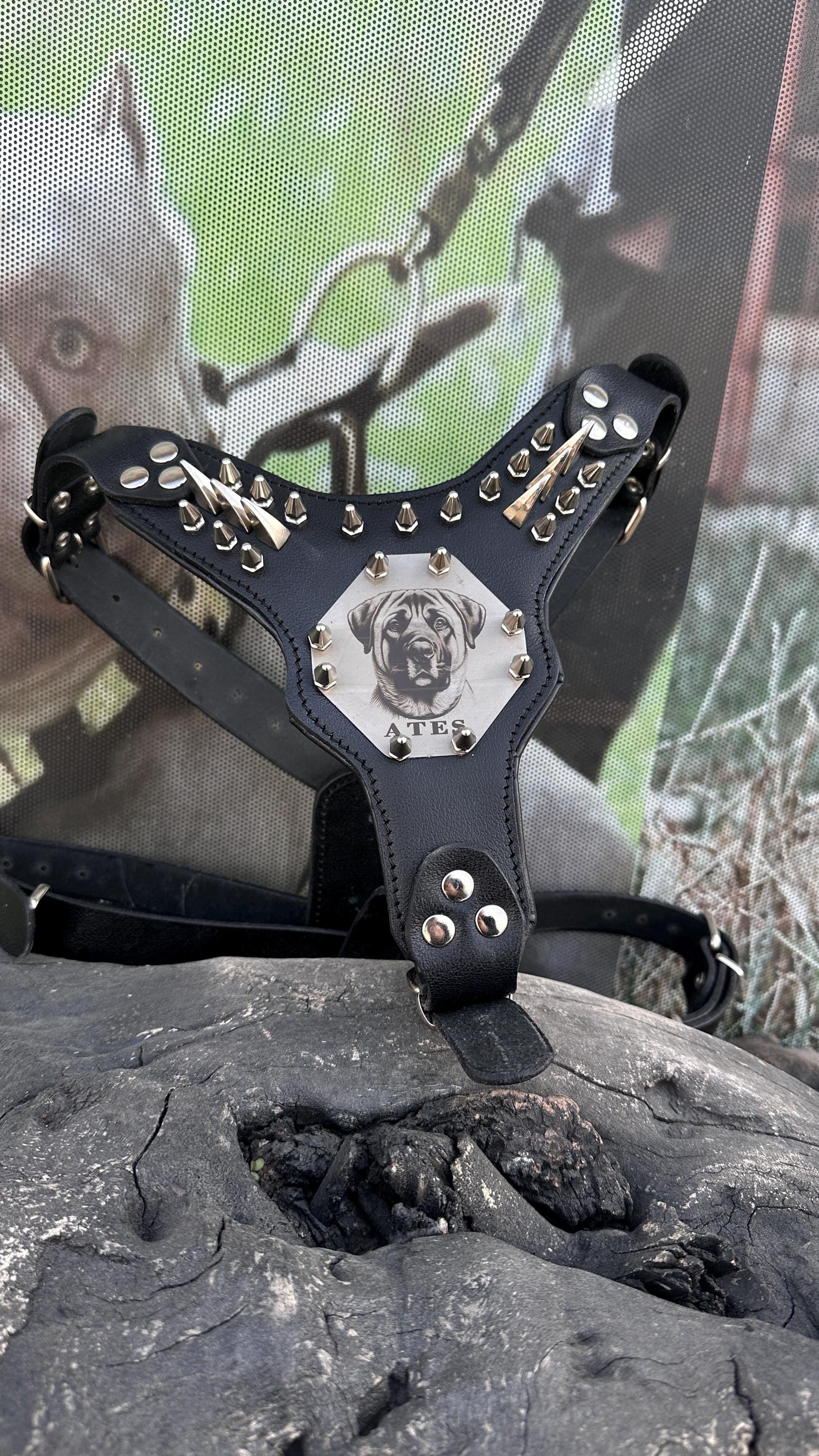 Custom Kangal Dog Collar, Harness & Leash Set – Handmade Leather Spike Set