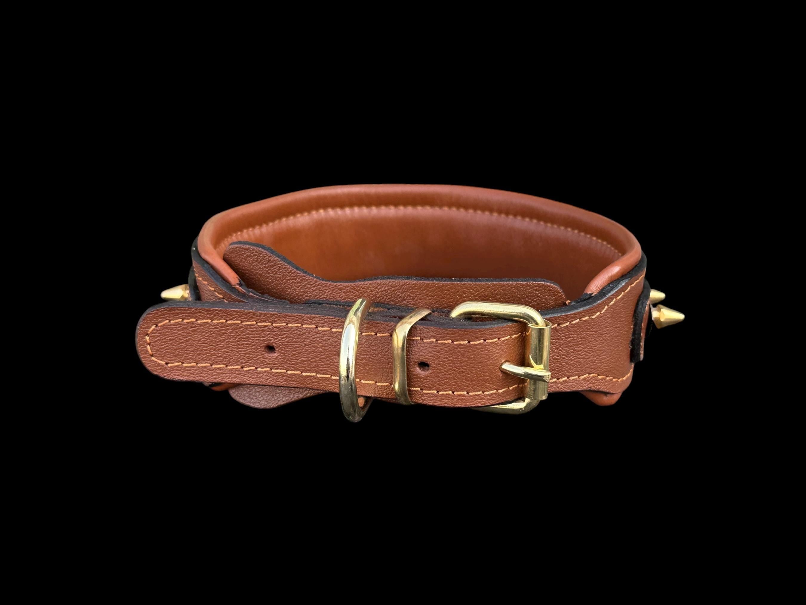 Buffalo Leather Spiked Dog Collar – Handmade Brown Gold Edition,