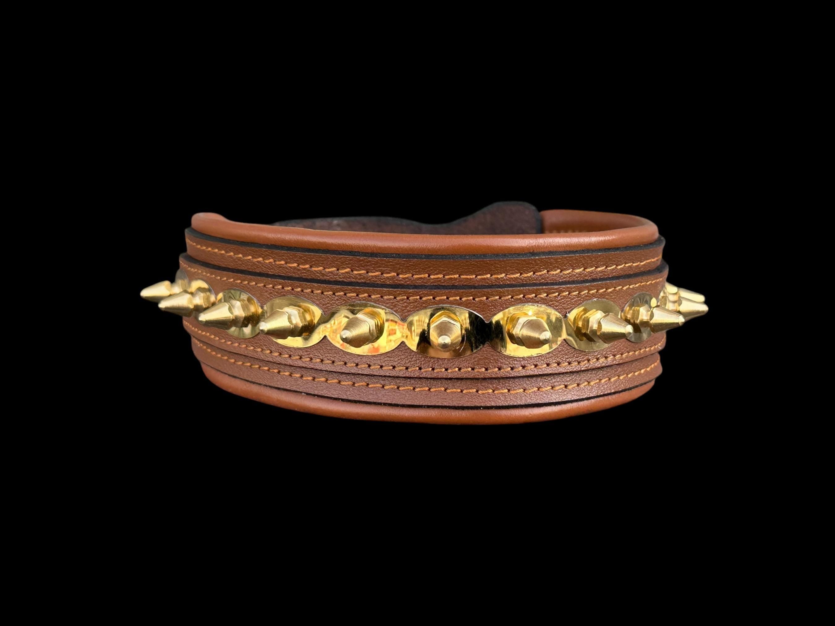 Buffalo Leather Spiked Dog Collar – Handmade Brown Gold Edition,