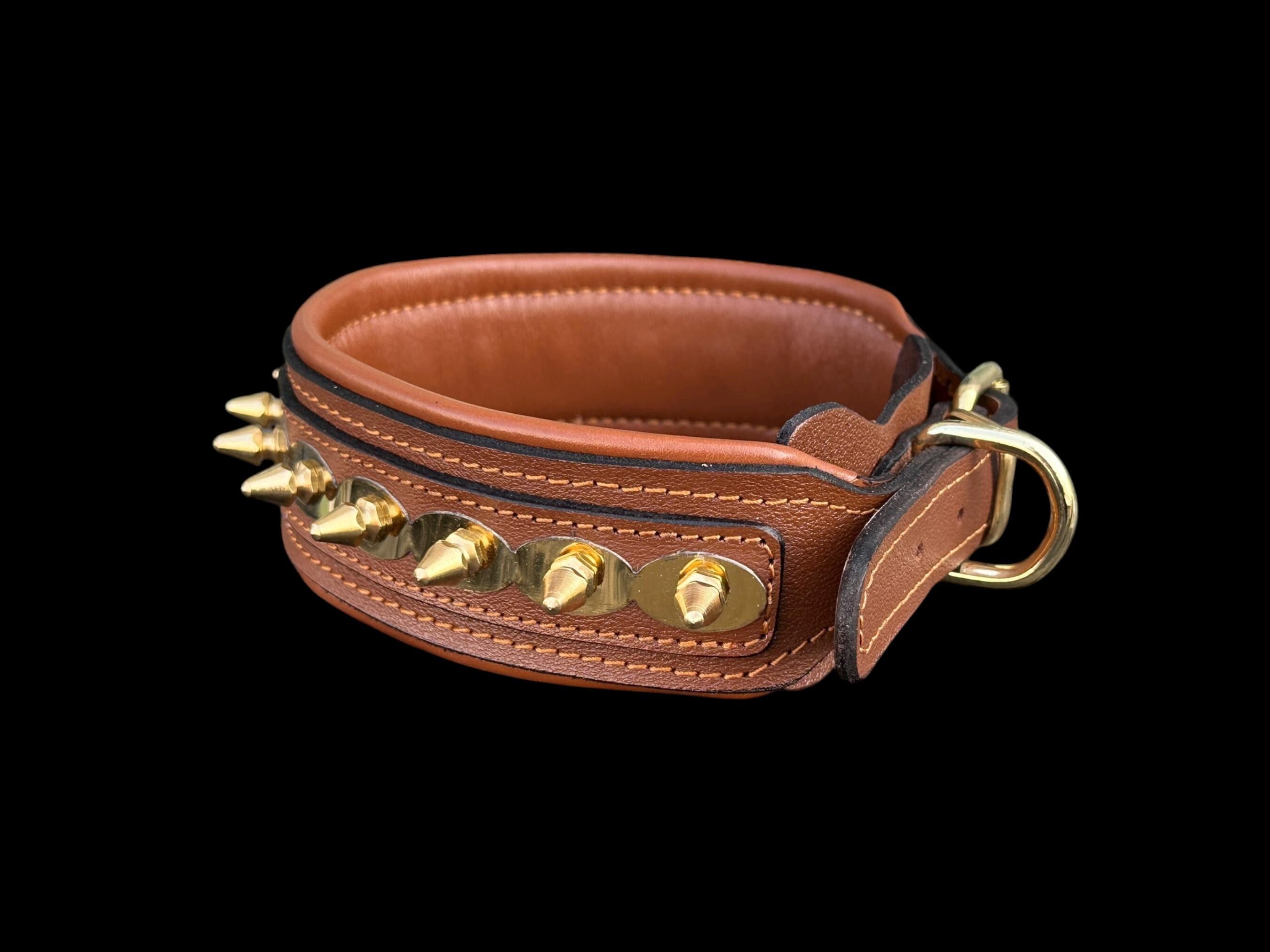 Buffalo Leather Spiked Dog Collar – Handmade Brown Gold Edition,