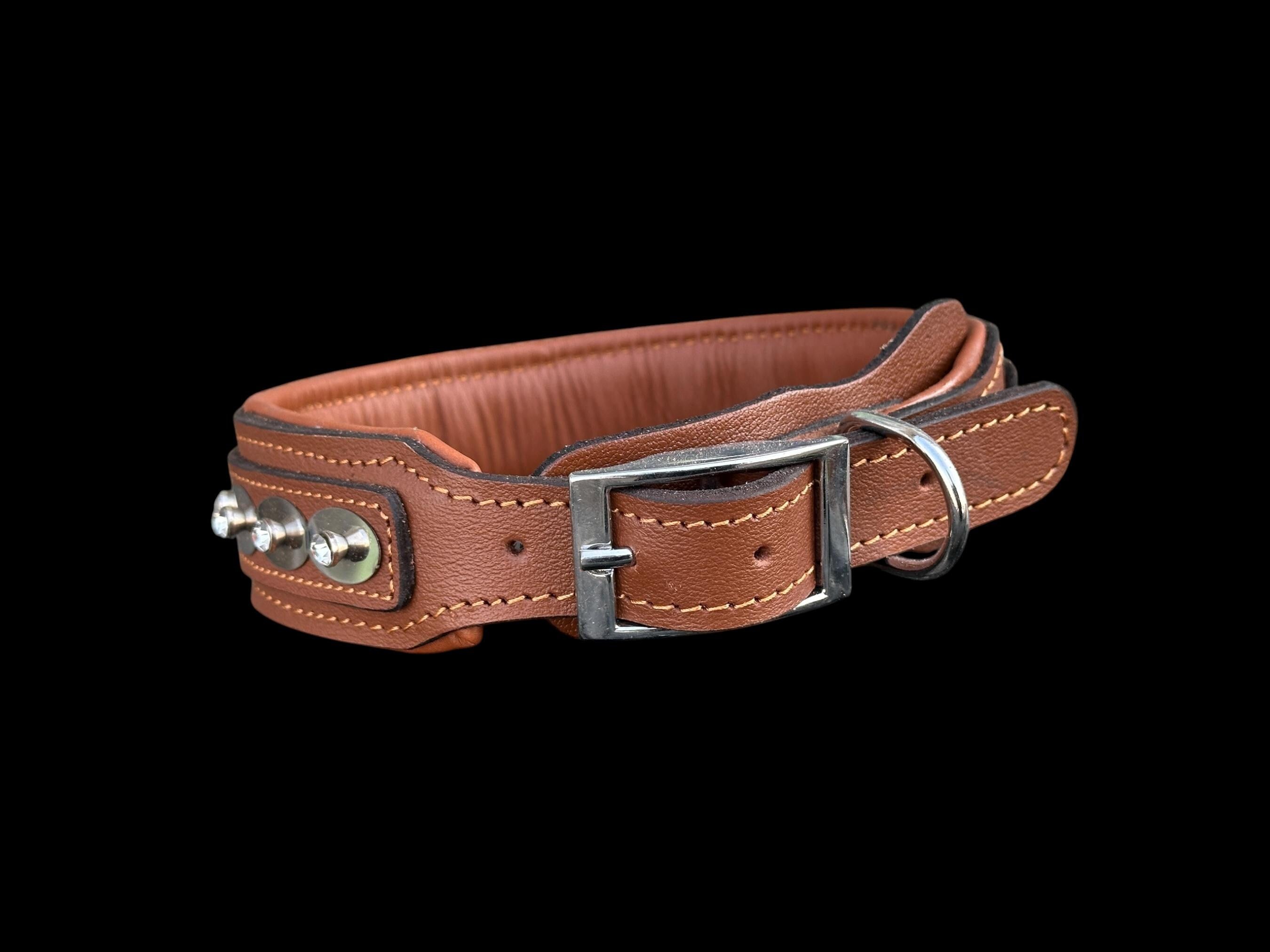 Buffalo Leather Crystal Dog Collar – Handmade Brown Silver Edition