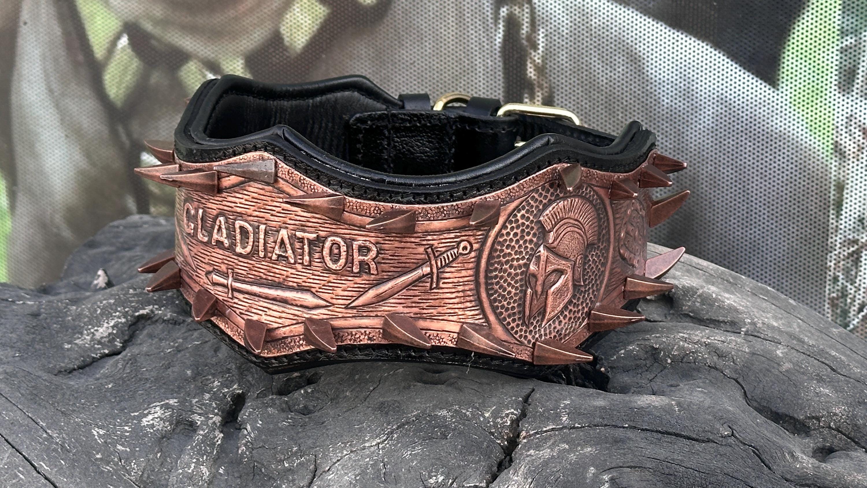 Gladiator Copper Spiked Dog Collar – Handcrafted Buffalo Leather