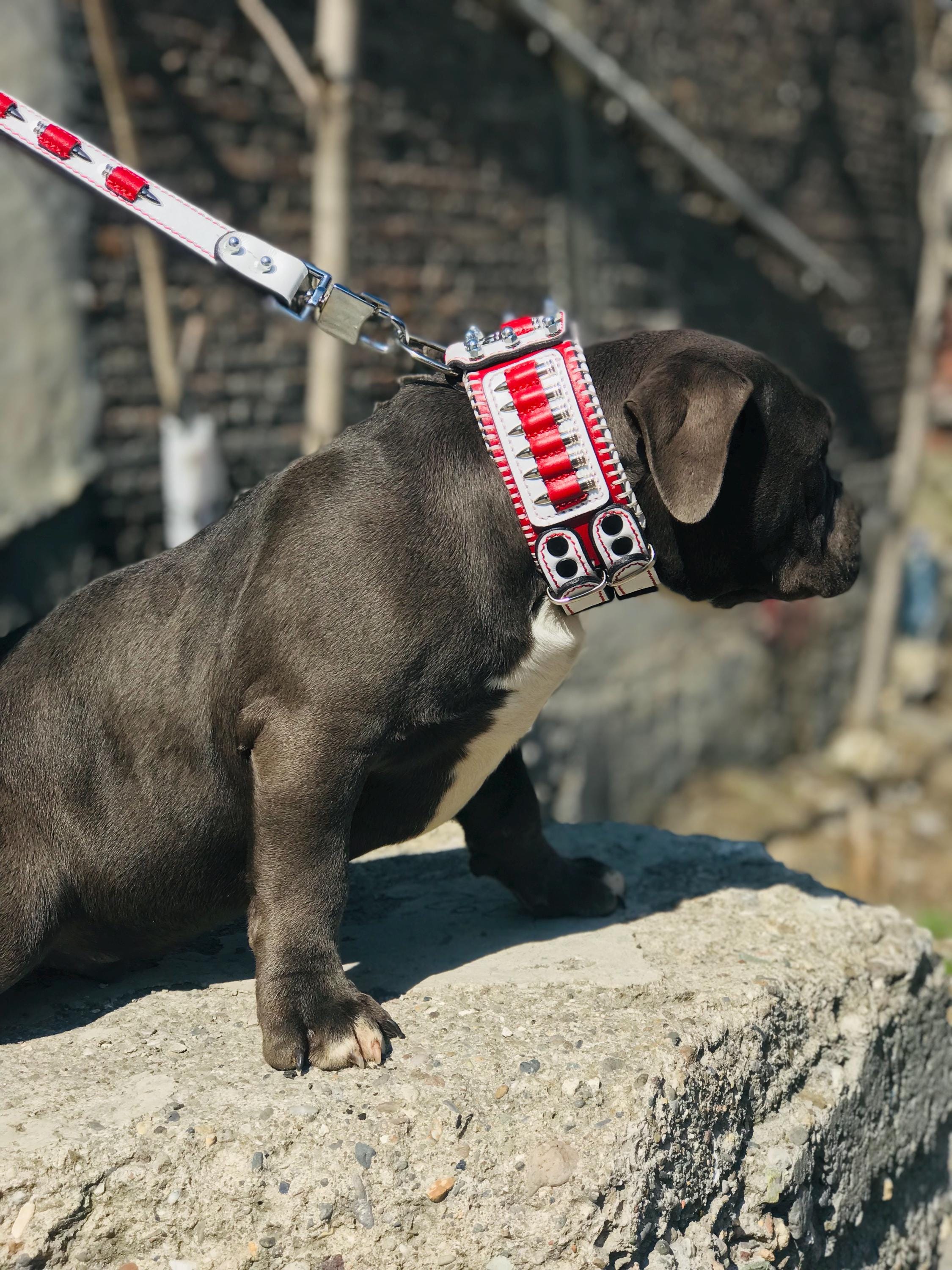 Handmade Buffalo Leather Dog Collar & Leash Set with Bullet Design – Personalized